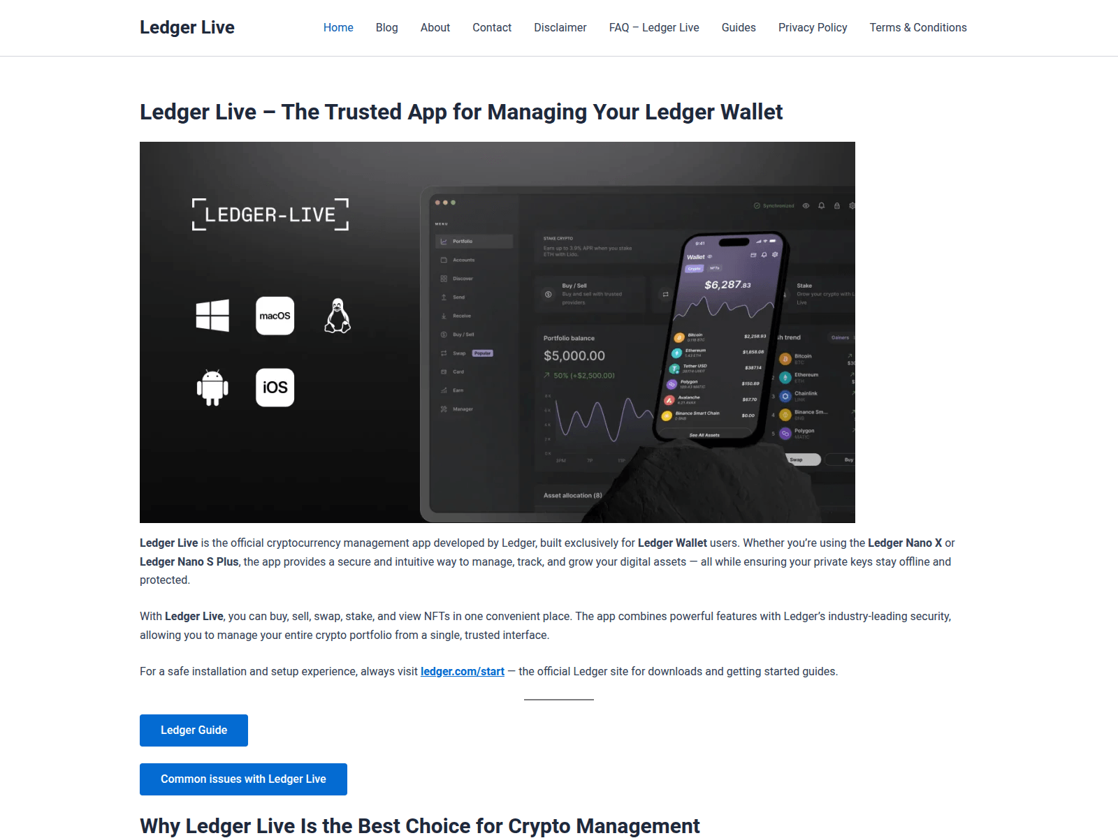 Screenshot of started-ledger.live