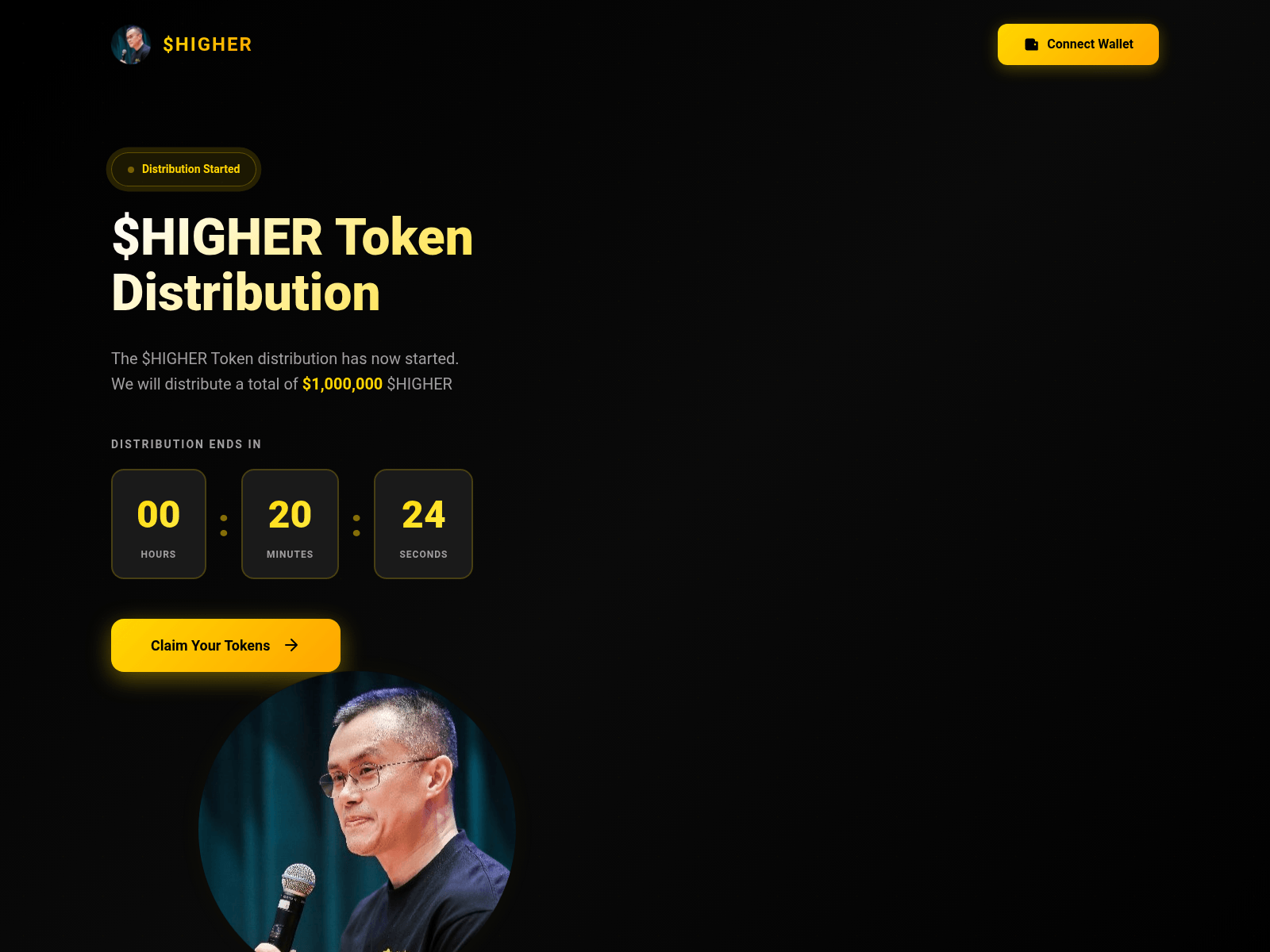 Screenshot of cc-allocation.xyz
