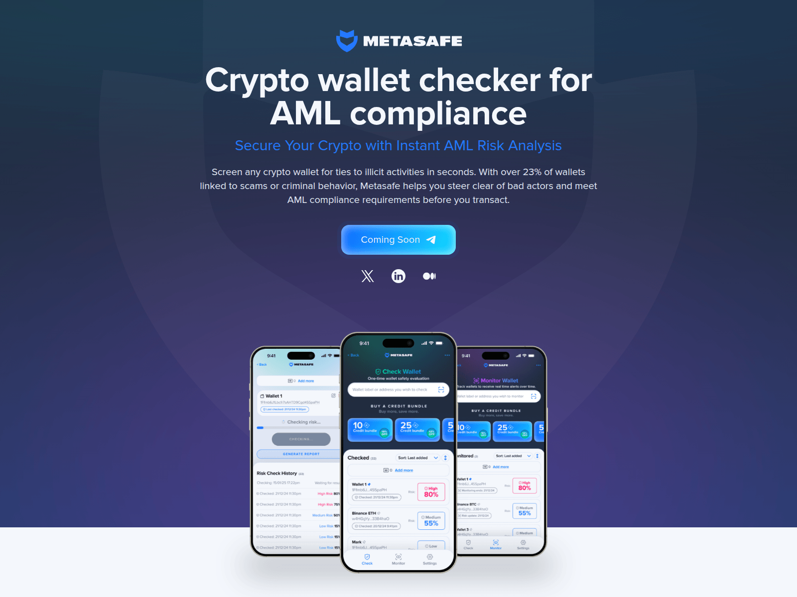 Screenshot of metasafe.ai