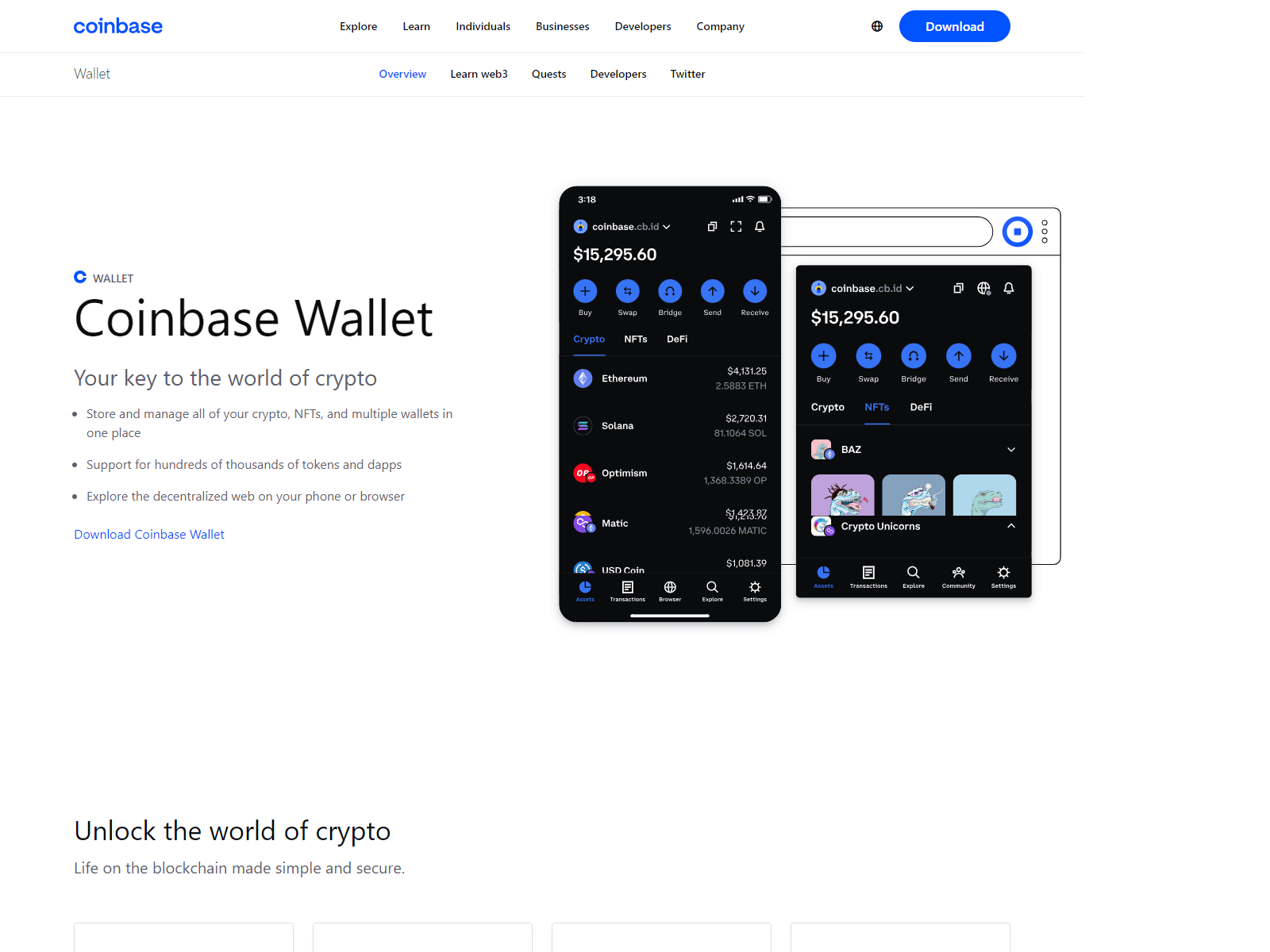 Screenshot of coinbayewallet.webflow.io