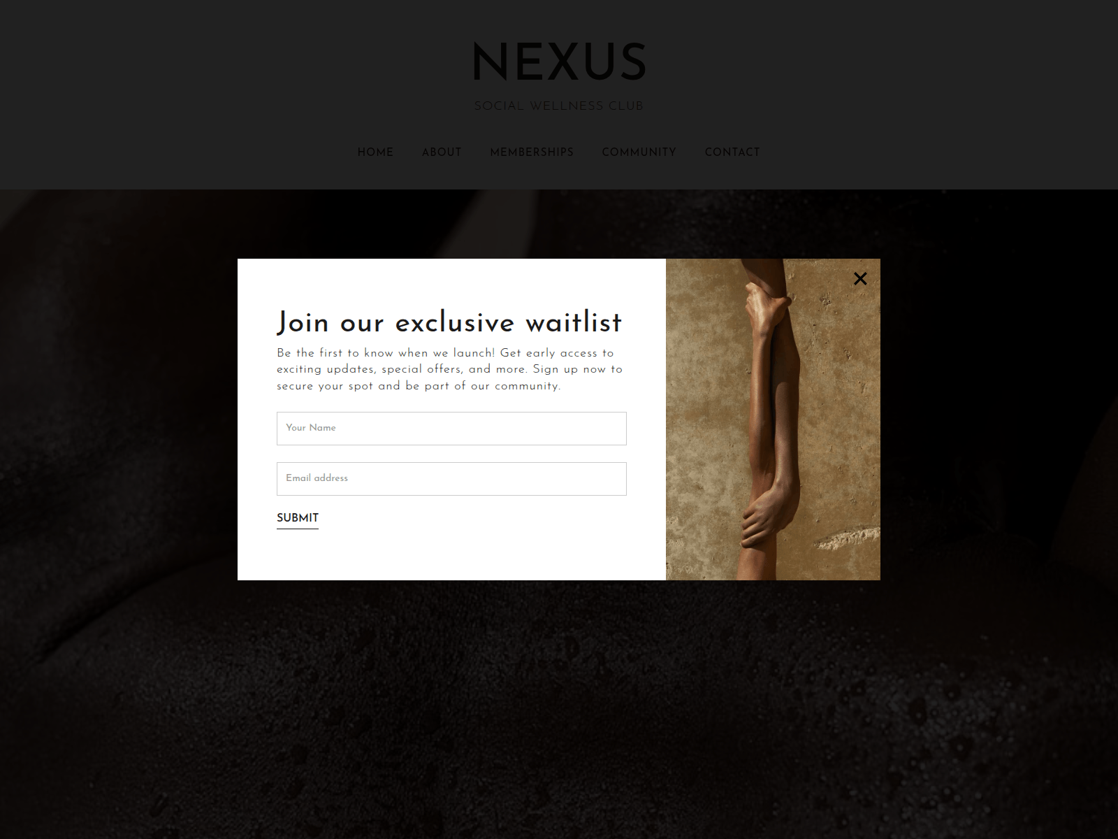 Screenshot of nexus-97b829.webflow.io