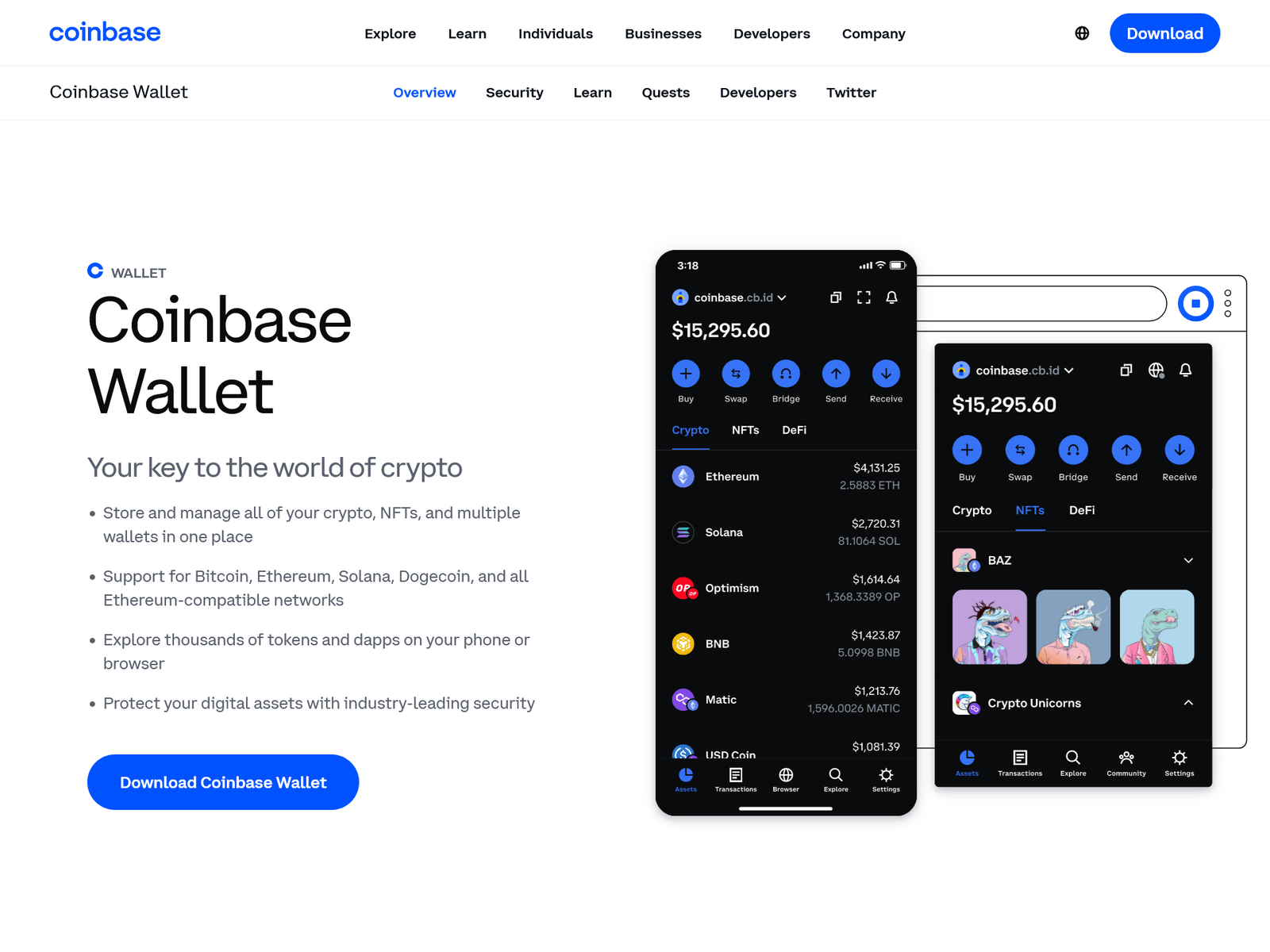 Screenshot of helps-coinbaes-exts-sso.webflow.io