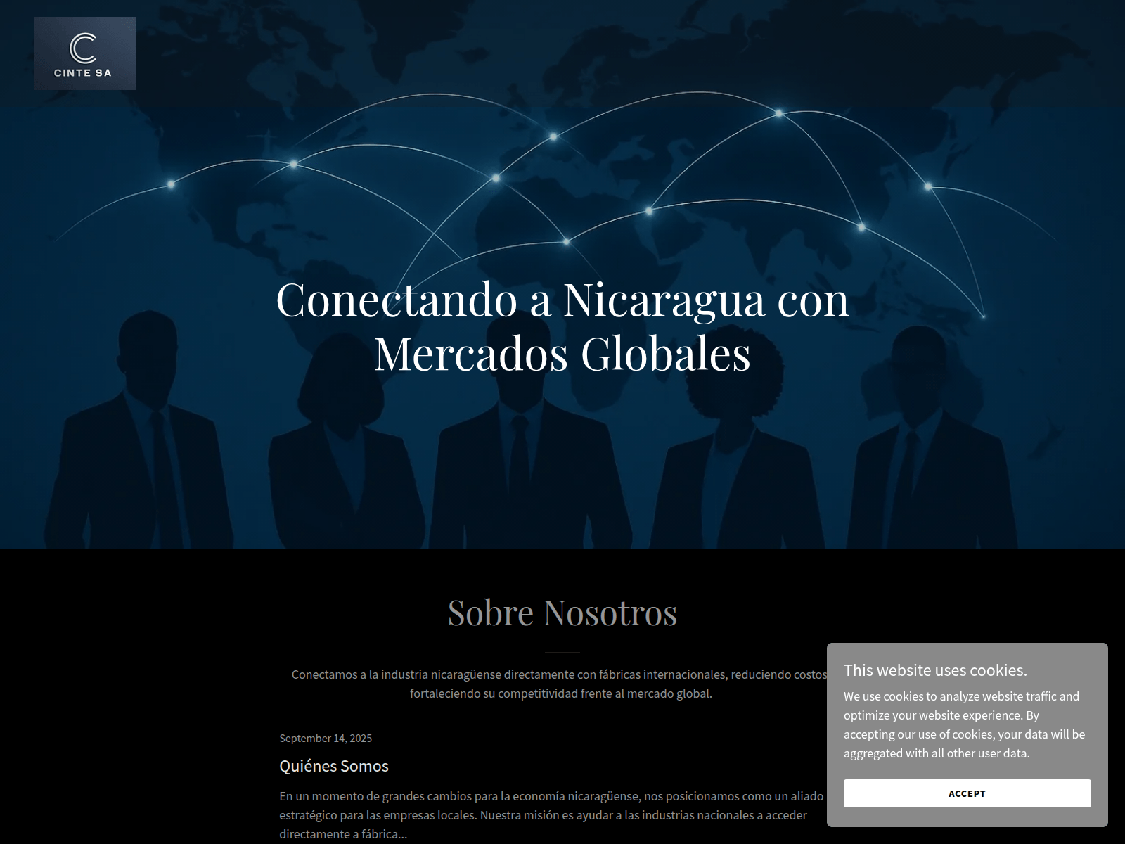 Screenshot of cintesa.com