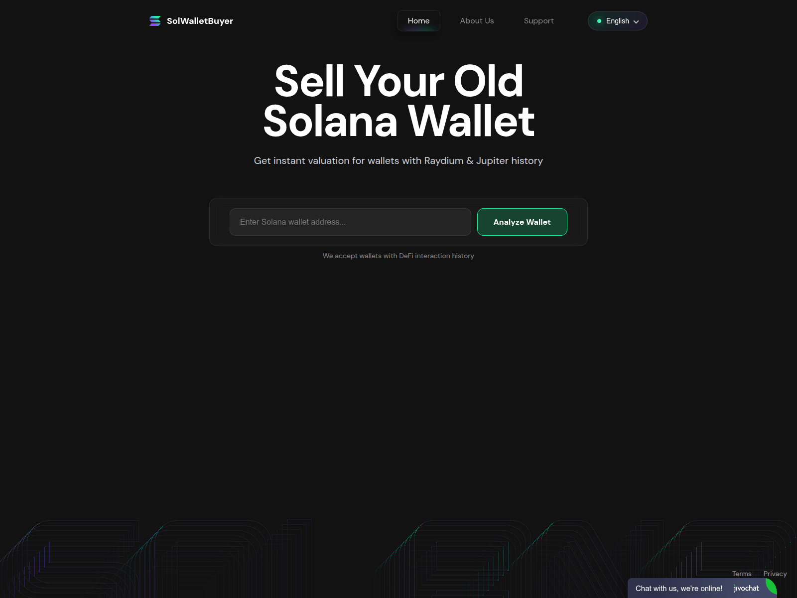 Screenshot of solwalletbuyer.shop