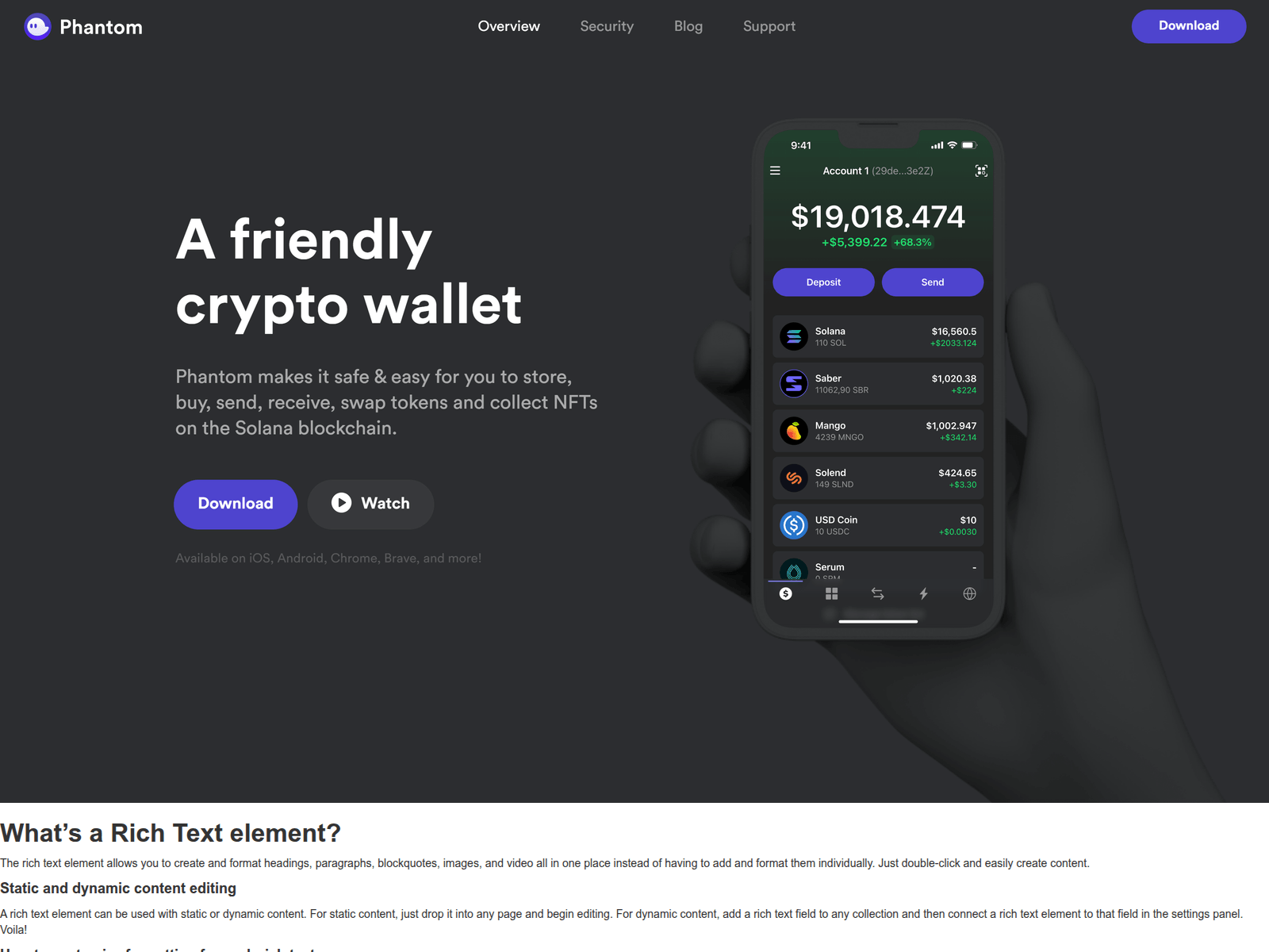 Screenshot of puh-nttam-waalet.webflow.io