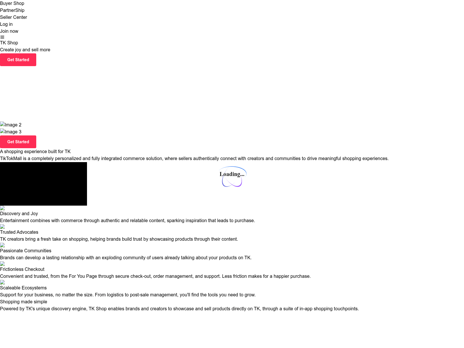 Screenshot of tk-store.shop