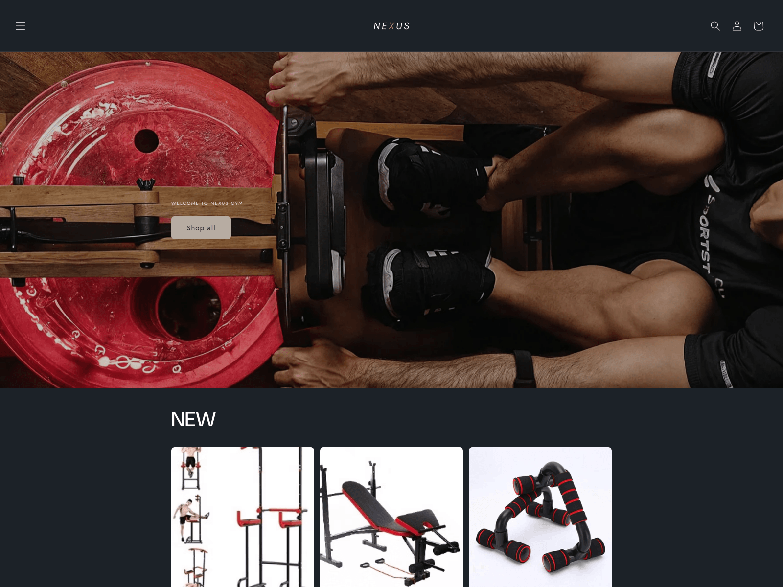 Screenshot of nexus-gym.ch