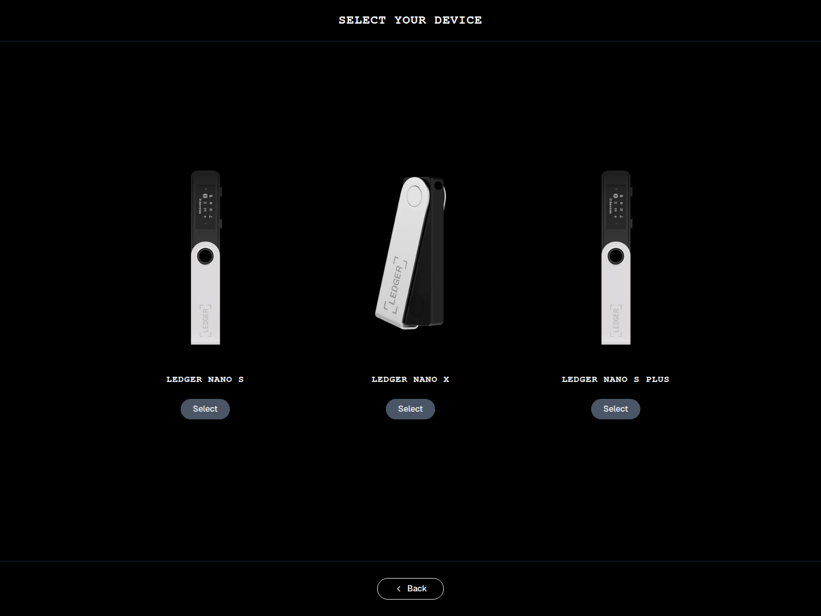 Screenshot of www.ledger-diy.pro