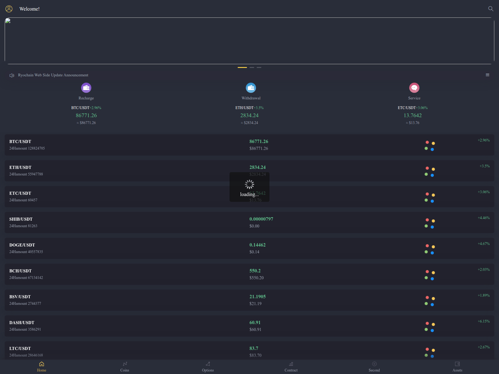 Screenshot of ryochain.vip