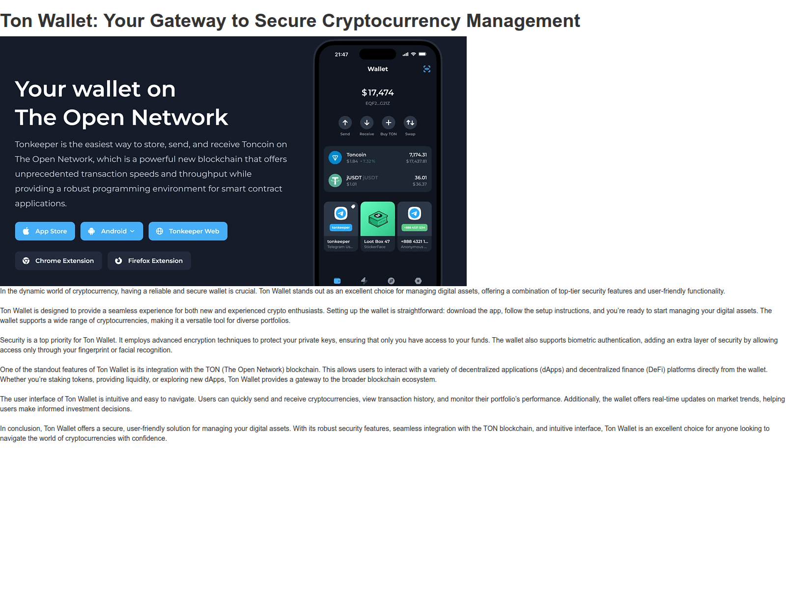 Screenshot of tons-wallet.webflow.io