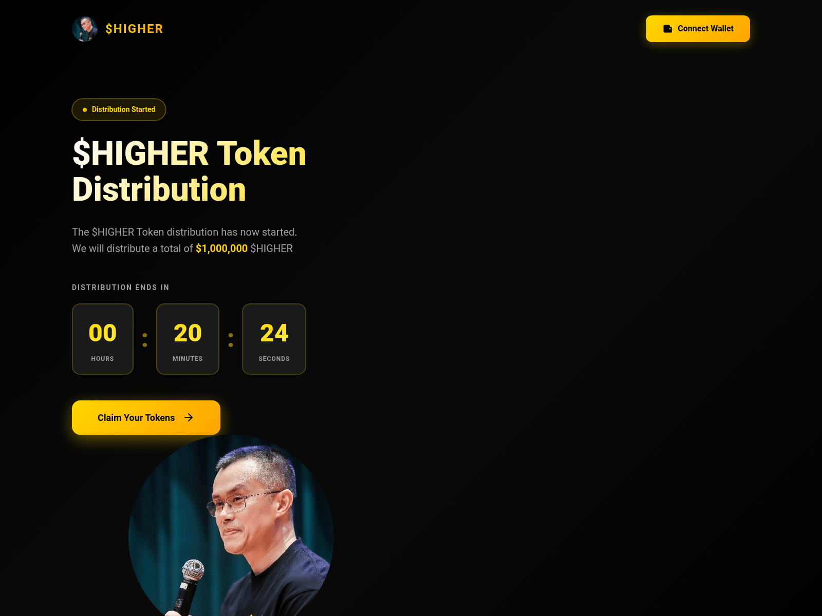 Screenshot of cc-allocationz.xyz