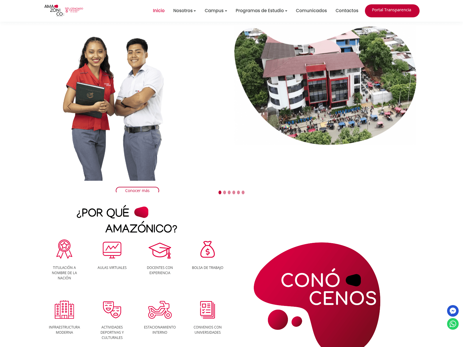 Screenshot of institutoamazonico.edu.pe