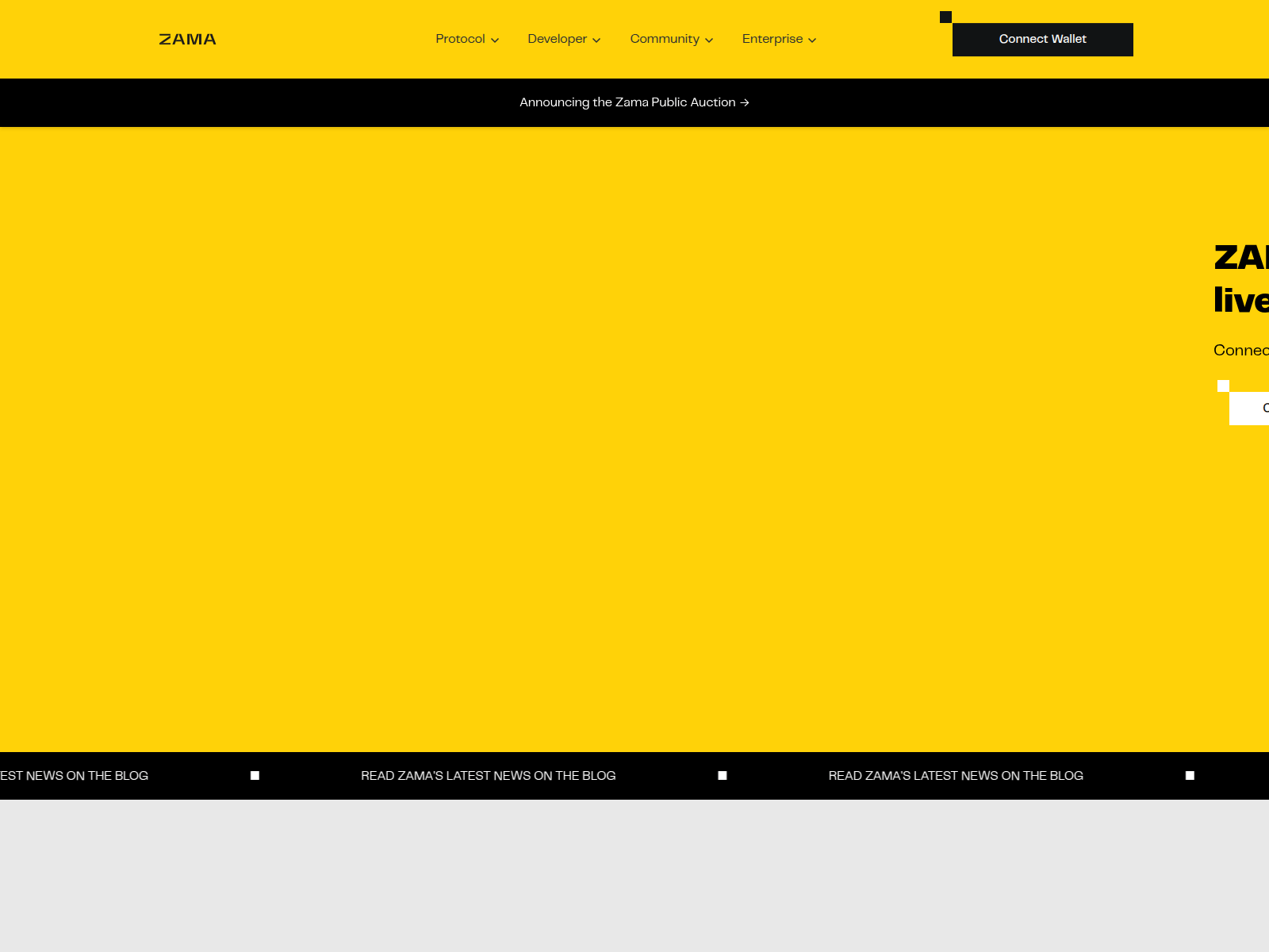 Screenshot of auction-zama.org