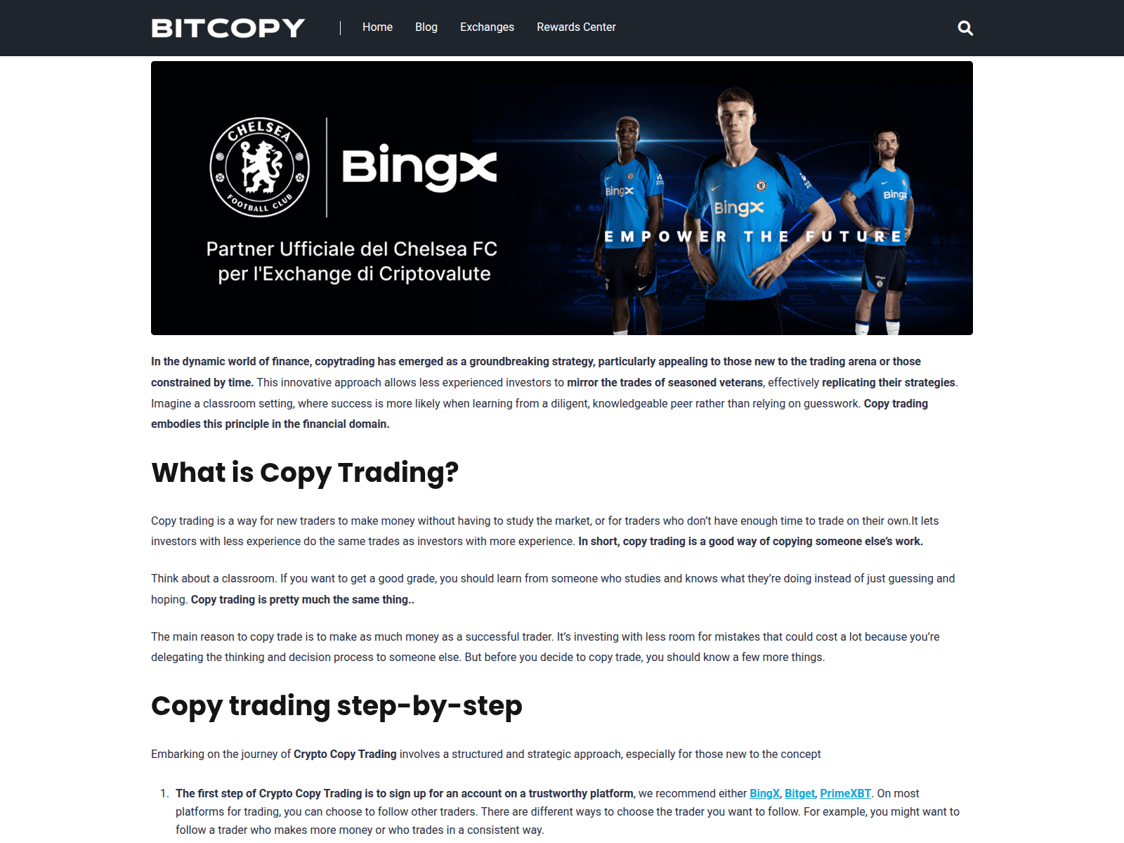 Screenshot of bitcopy.io