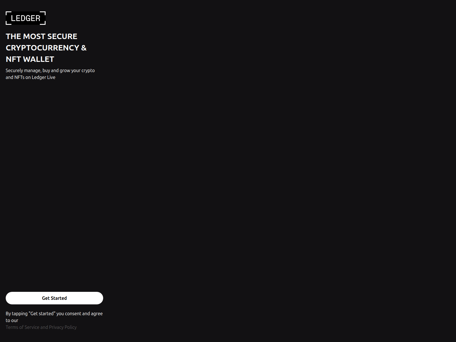 Screenshot of started-en-ldger.created.app