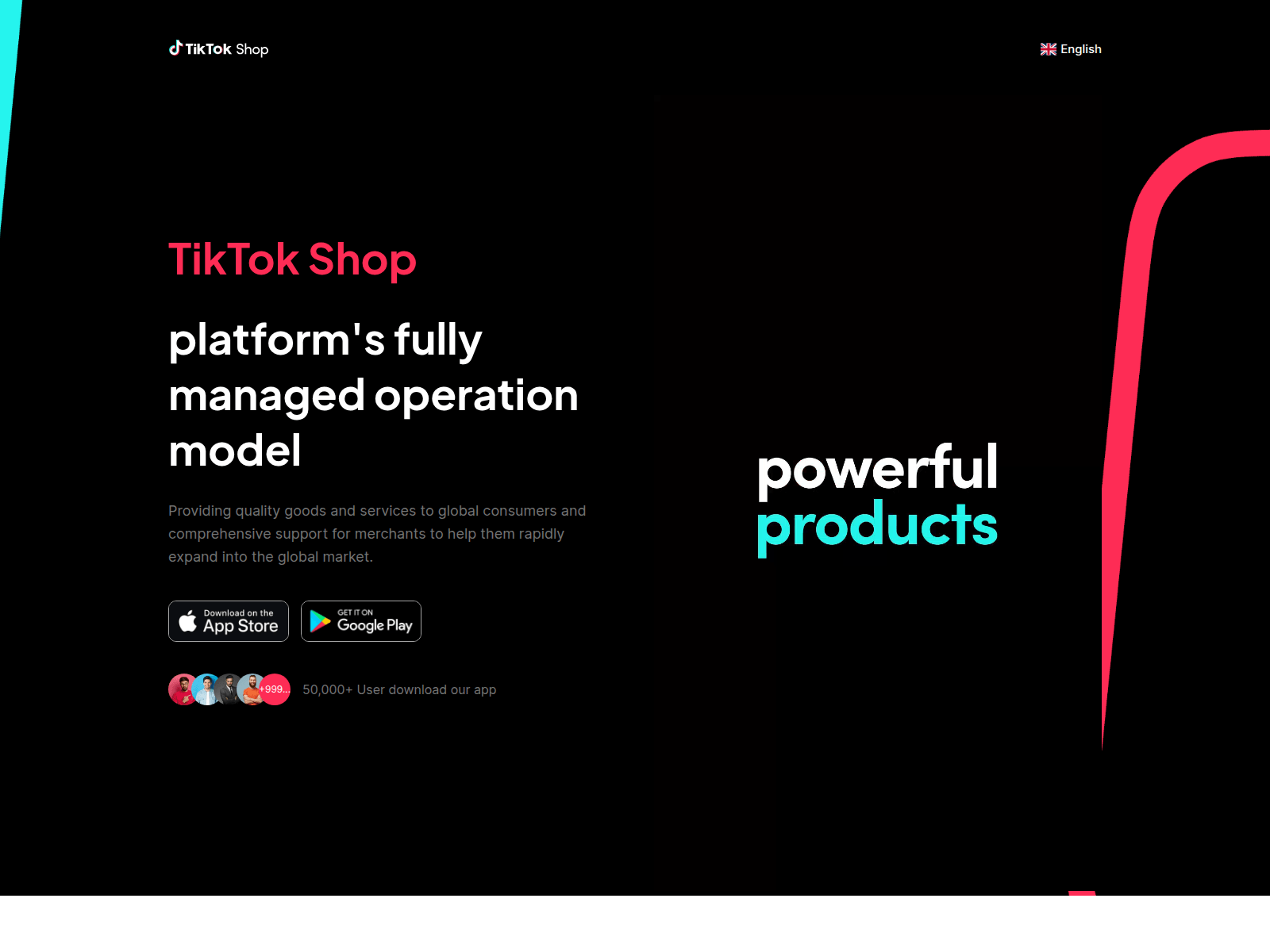 Screenshot of tiktok.tkonb.com