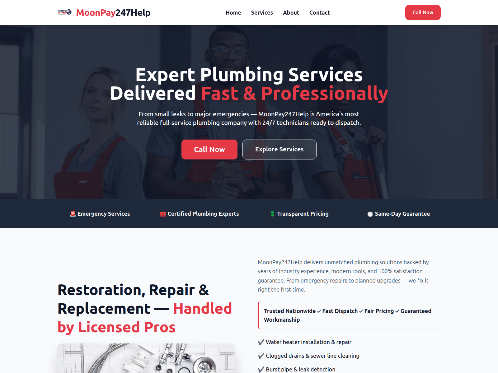 Screenshot of moonpay247help.online