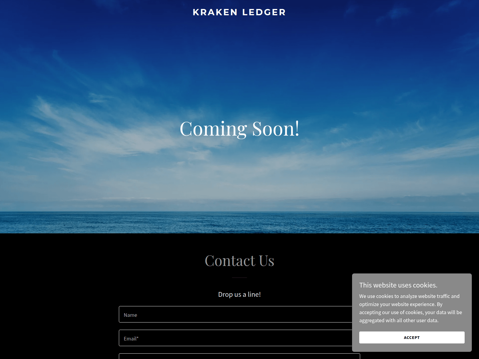 Screenshot of krakenledger.com
