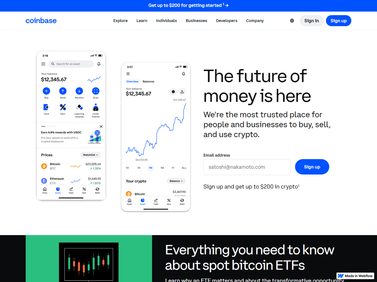 Screenshot of coinbes--wellts--extenss.webflow.io