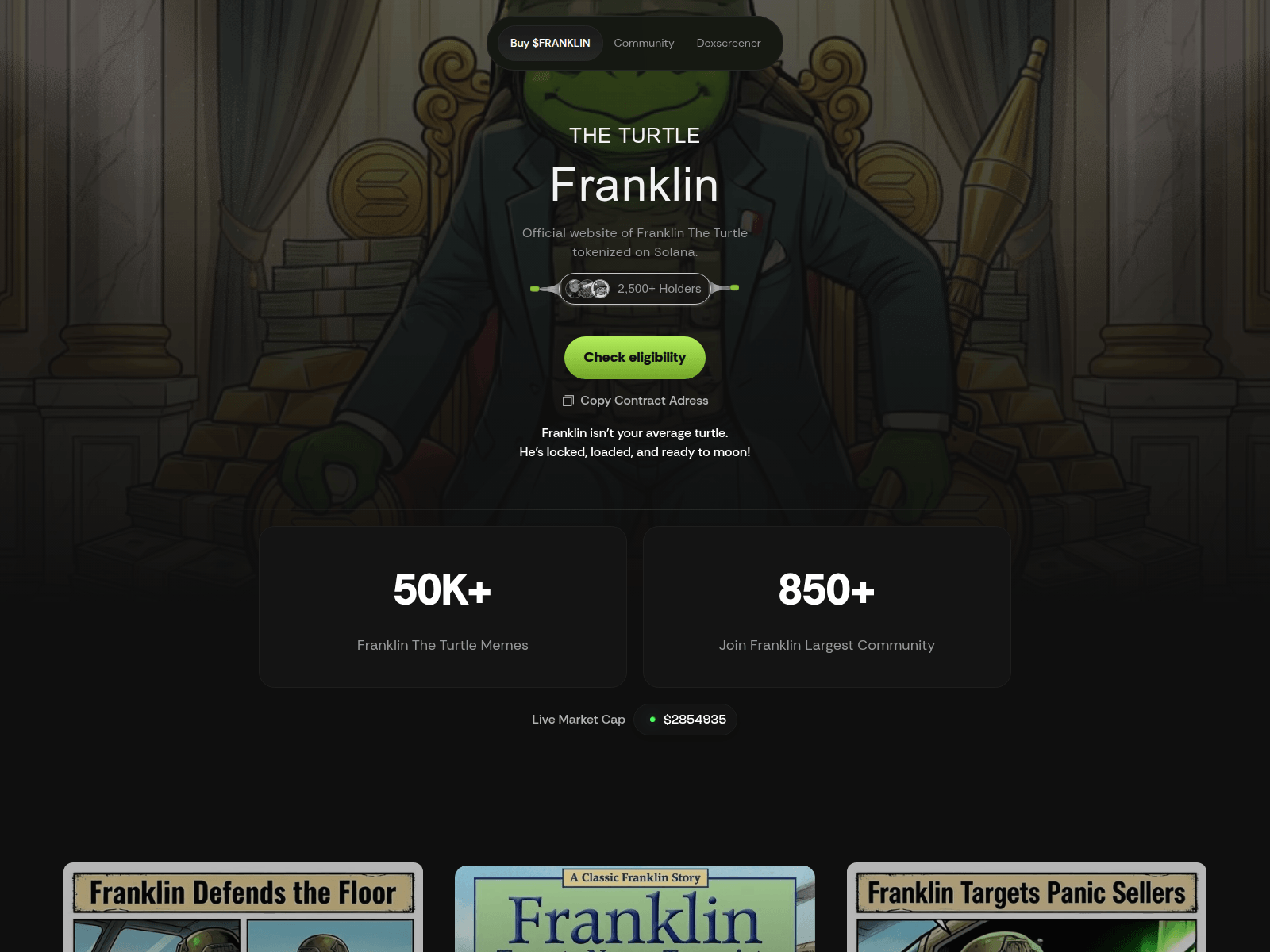 Screenshot of theturtlefranklin.net