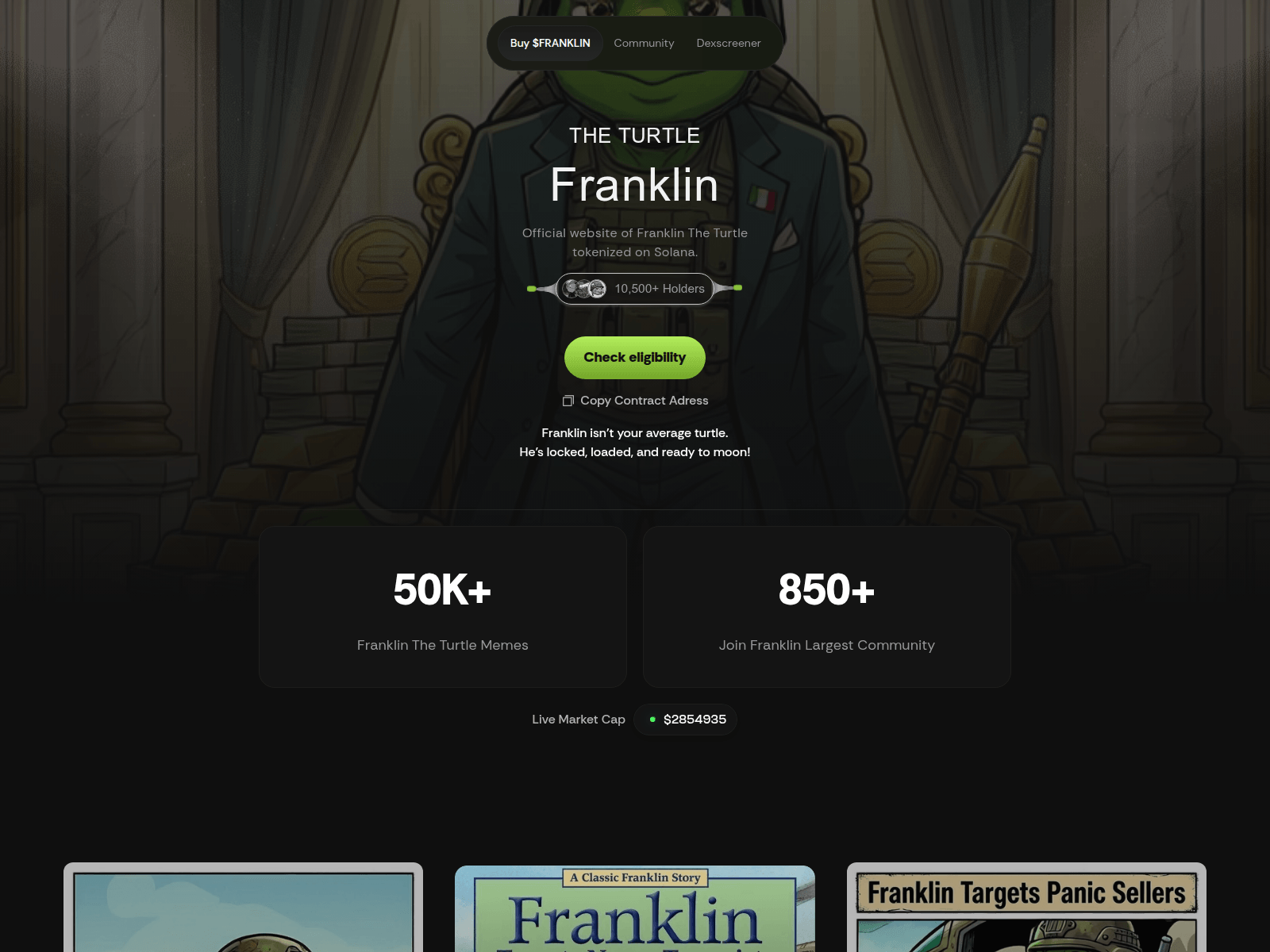 Screenshot of theturtlesfranklin.net