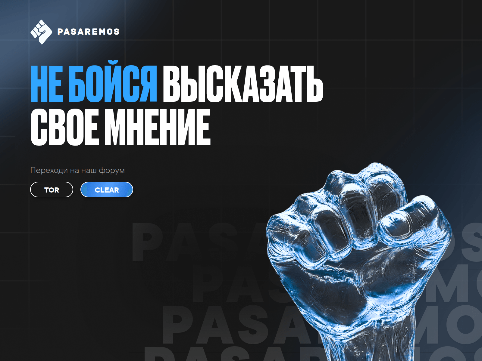 Screenshot of pasaremos.xyz