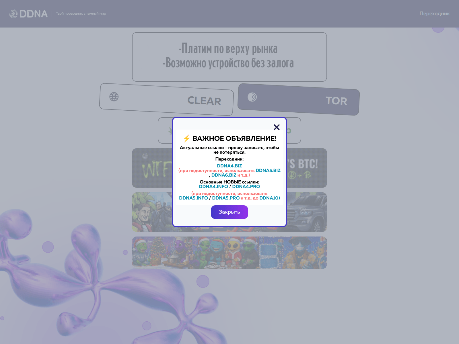 Screenshot of ddna4.biz