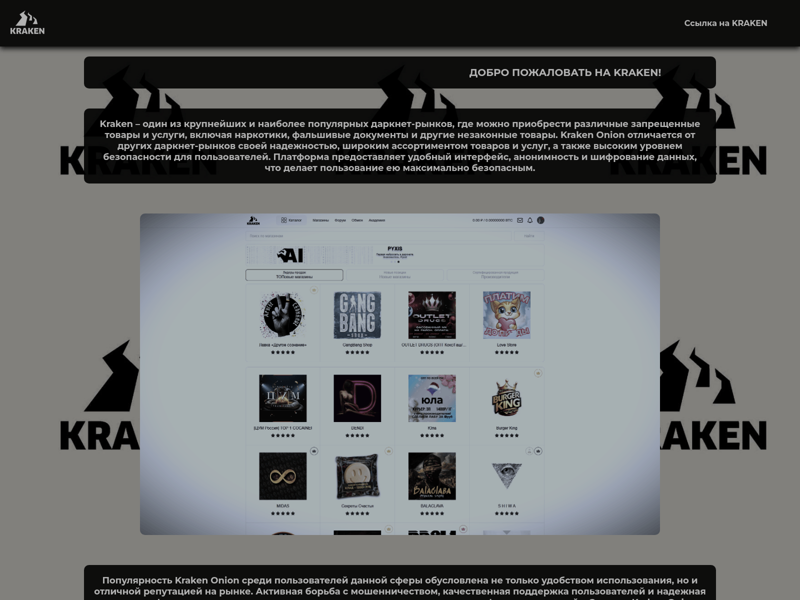 Screenshot of kraken-official.cc