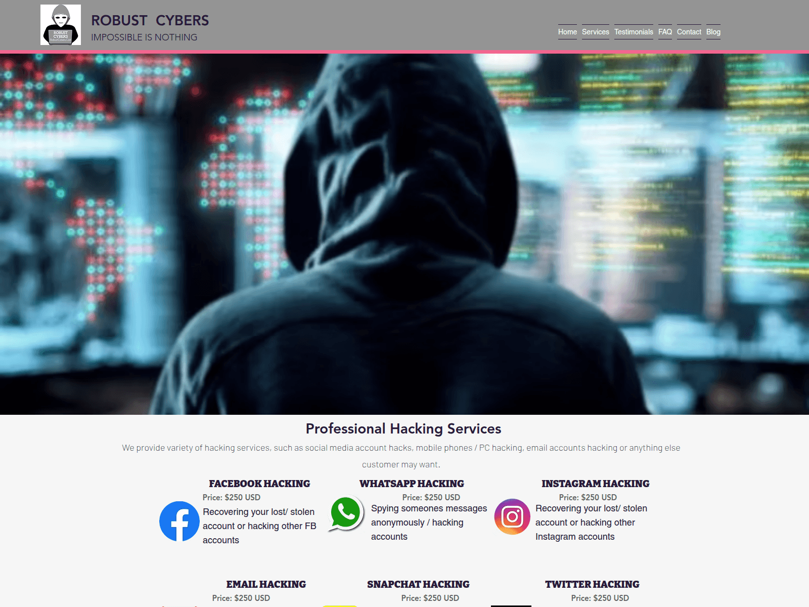 Screenshot of www.robustcybers.com