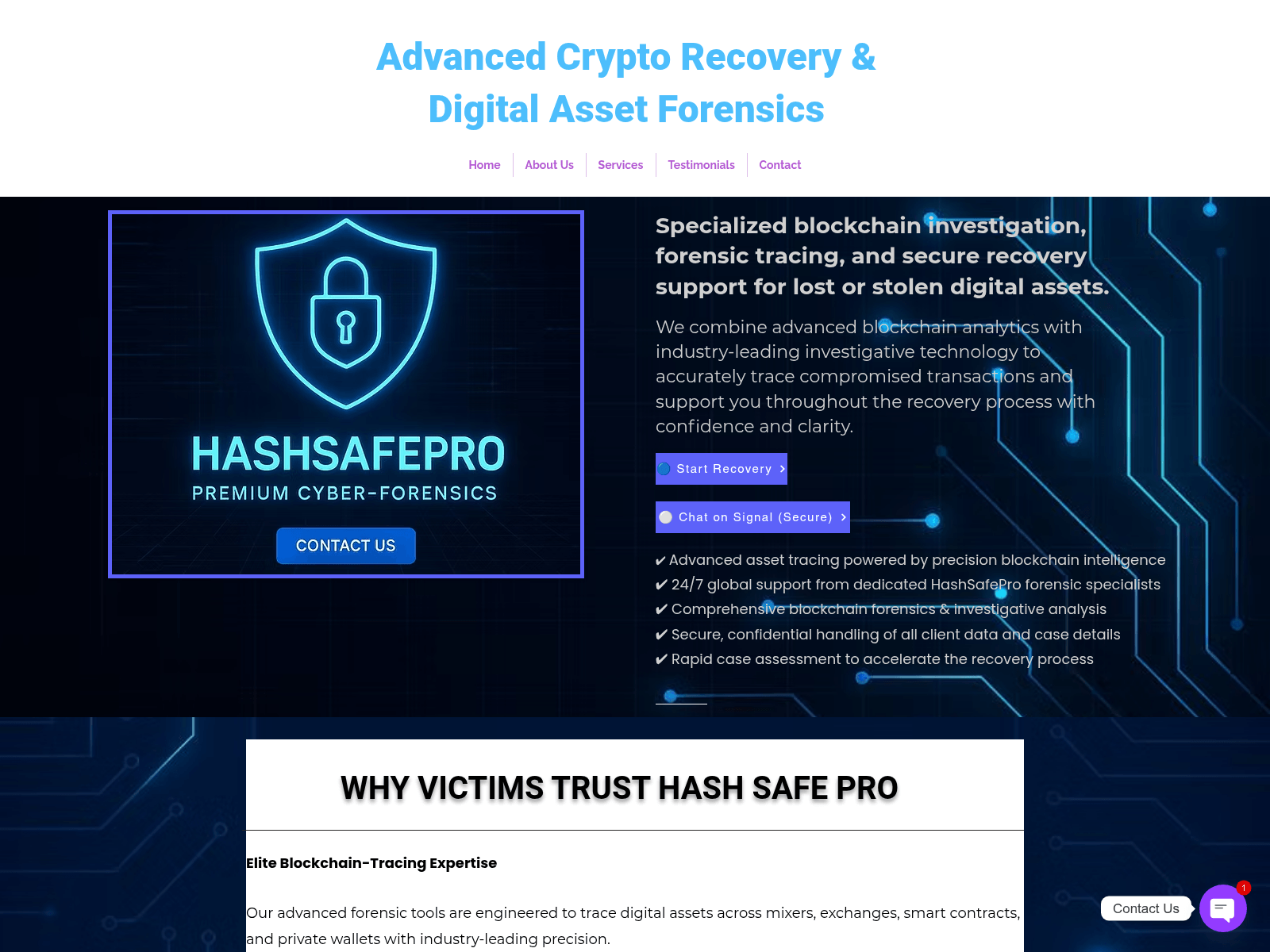 Screenshot of www.hashsafepro.com