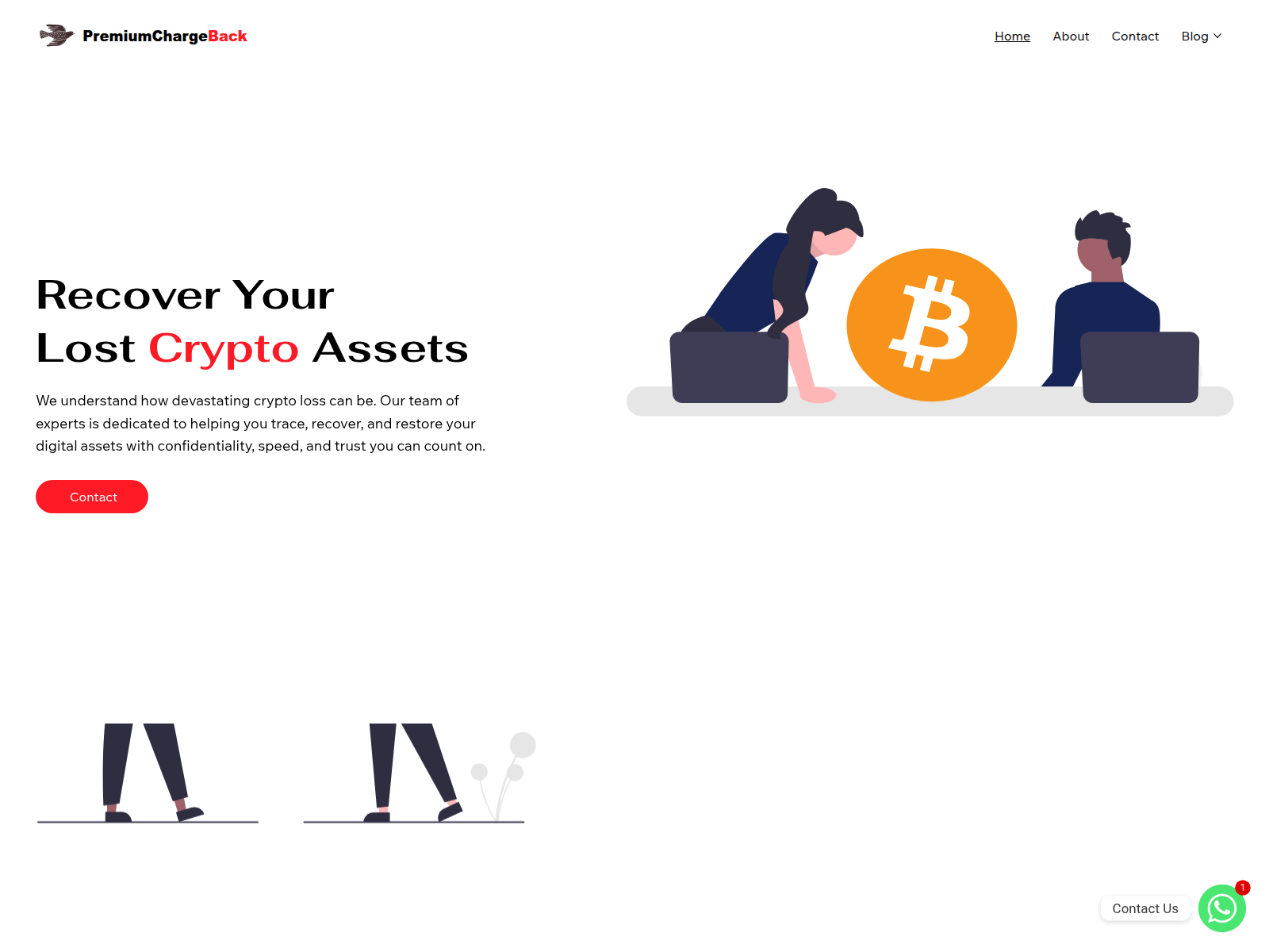 Screenshot of www.premiumchargeback.com