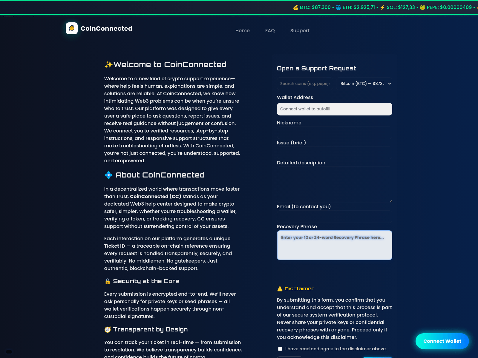 Screenshot of coinconnected.help
