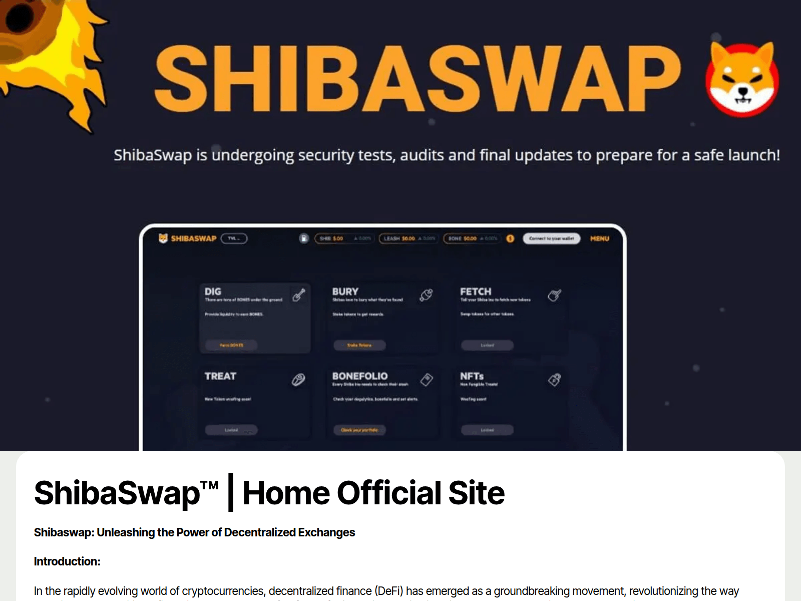 Screenshot of shibaswapk.github.io