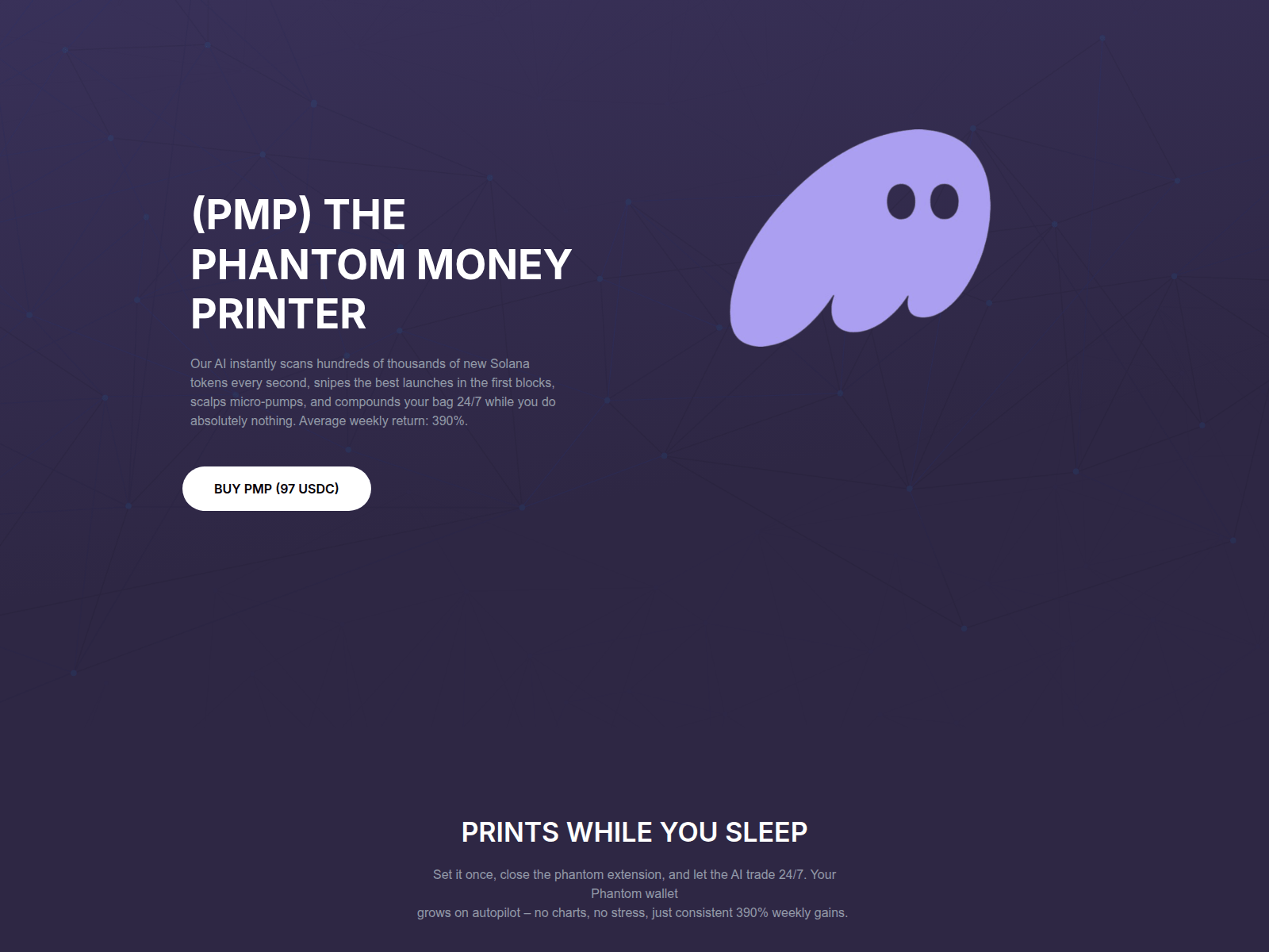 Screenshot of solanapmp.com
