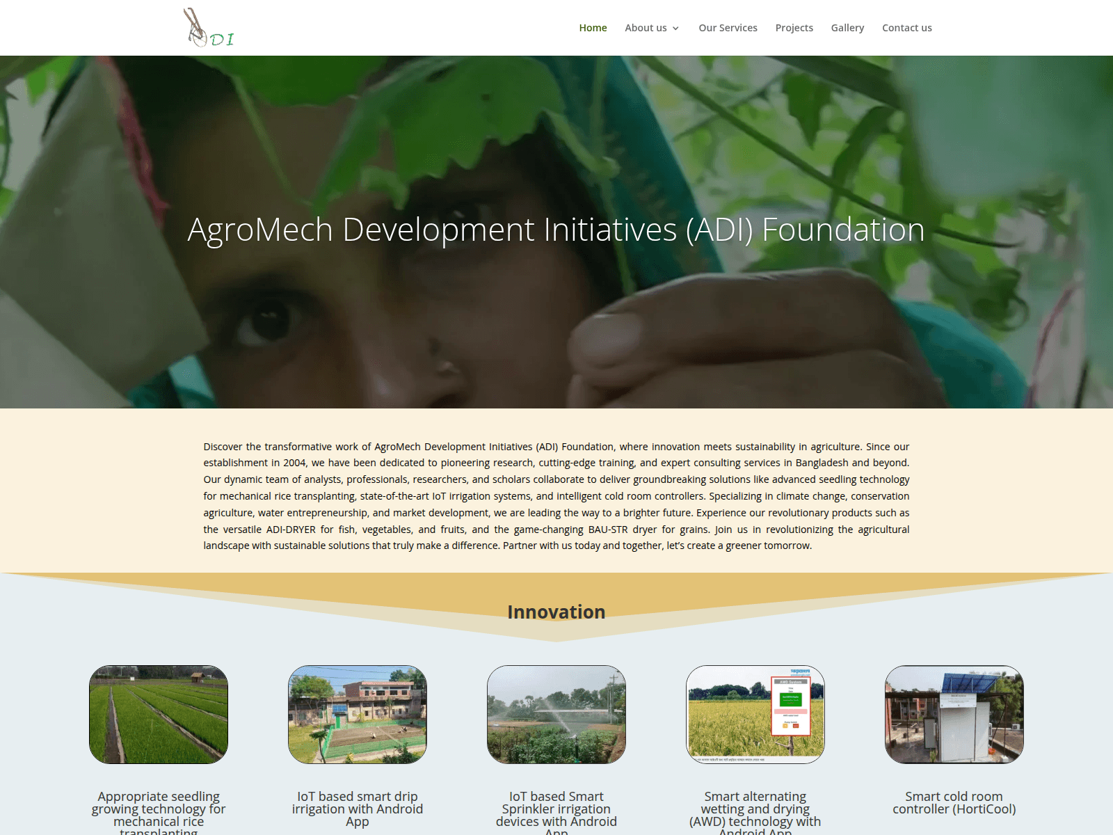 Screenshot of adi-foundation.com
