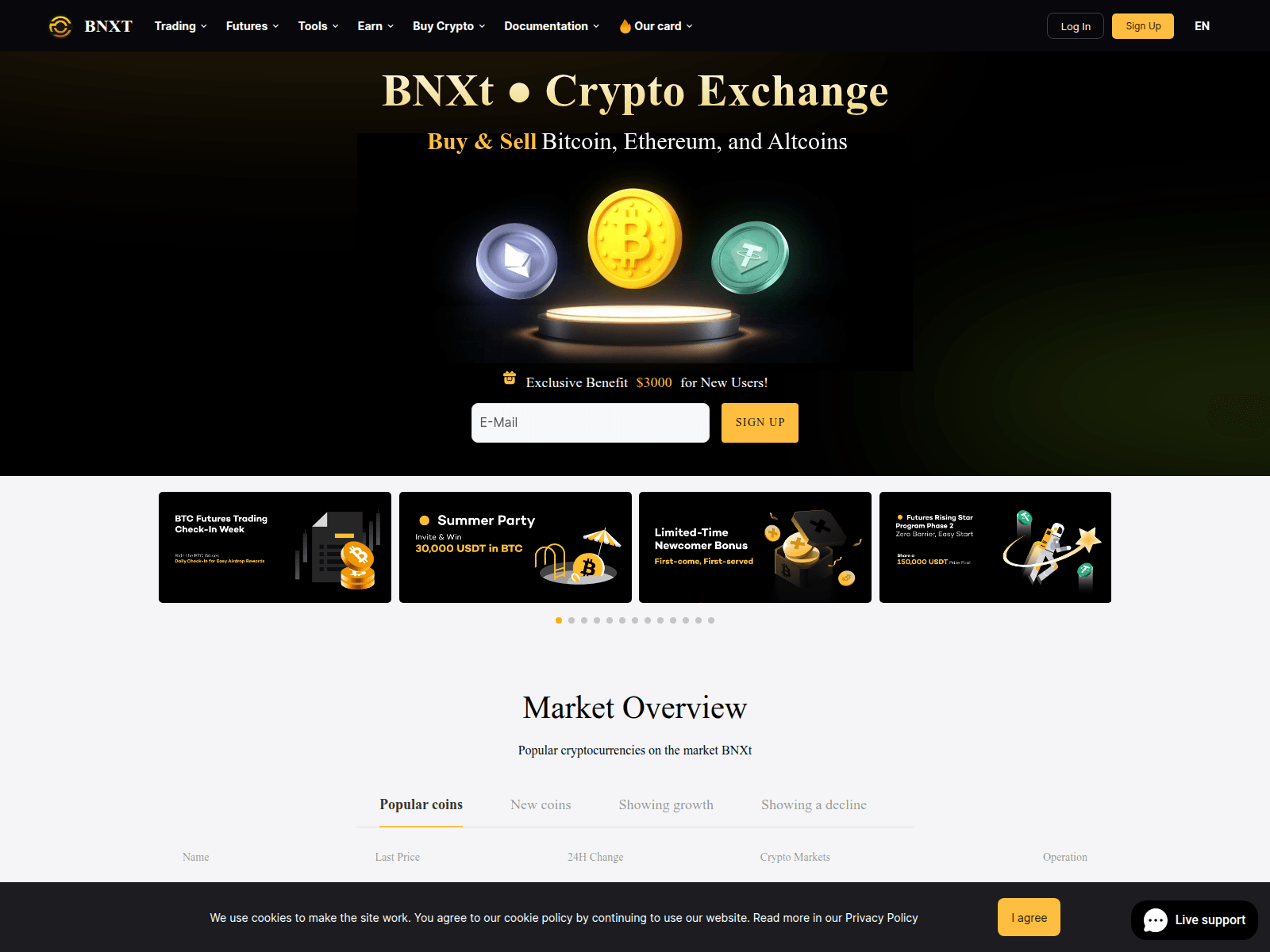 Screenshot of bnx-t.com