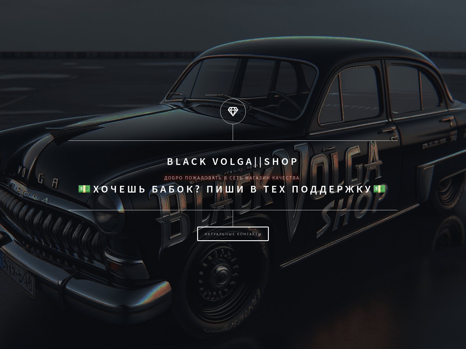 Screenshot of volga24.vip