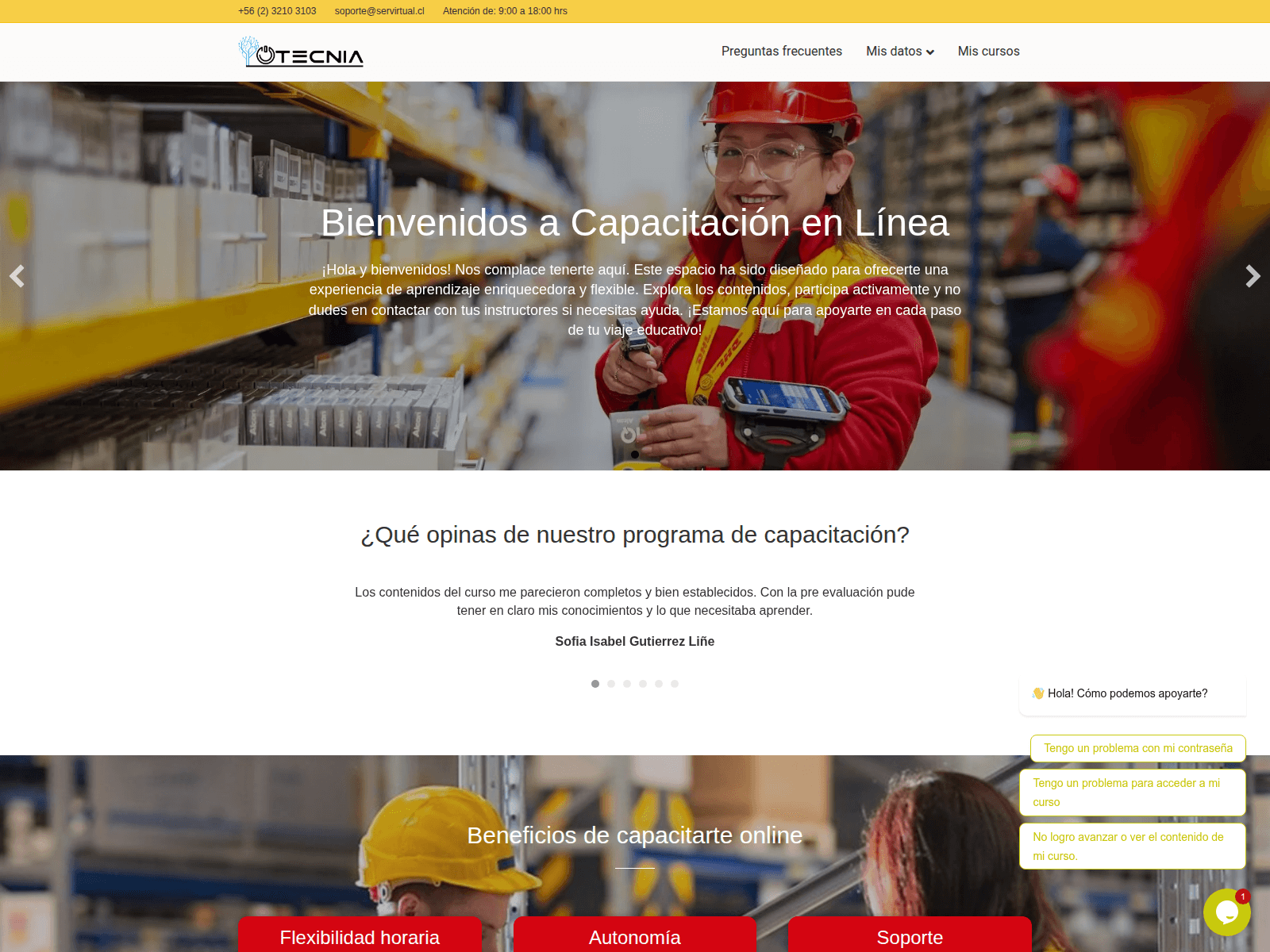 Screenshot of dhl.servirtual.cl
