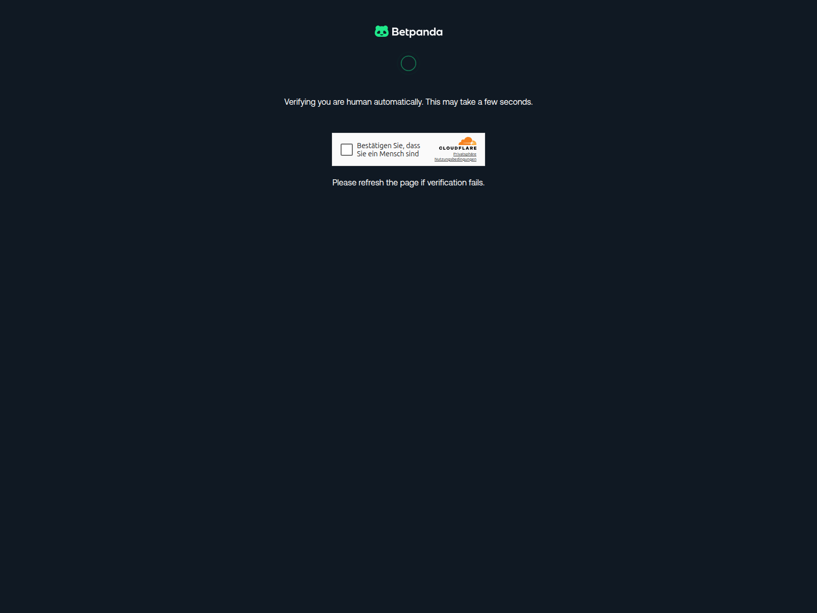Screenshot of betpandacasino.io