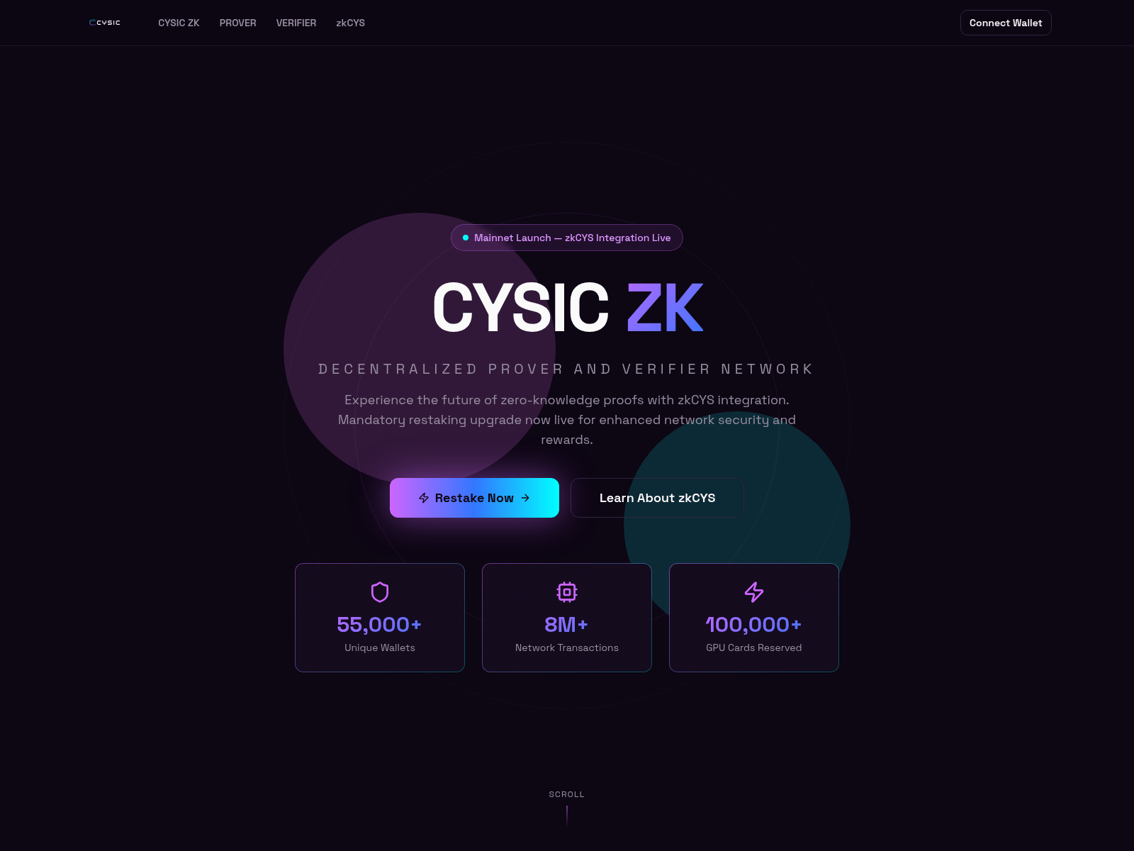 Screenshot of cysicrestake.xyz