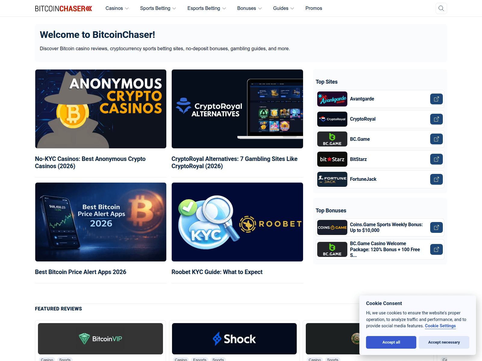 Screenshot of bitcoinchaser.com