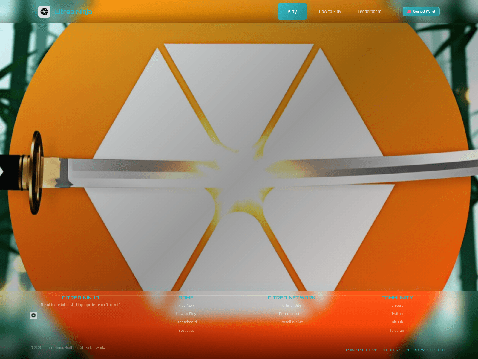 Screenshot of c-ninja.vercel.app