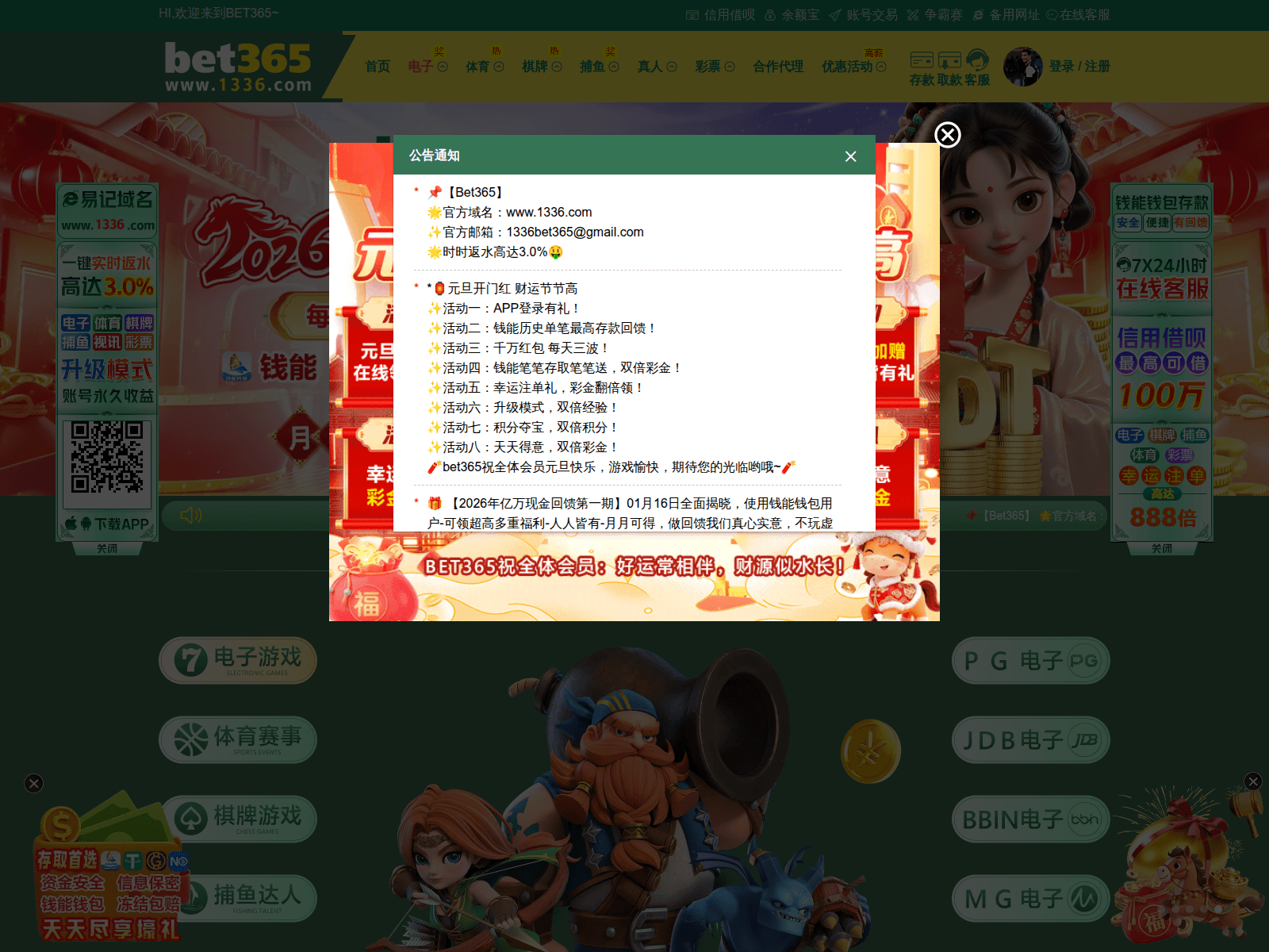 Screenshot of 1336051.com