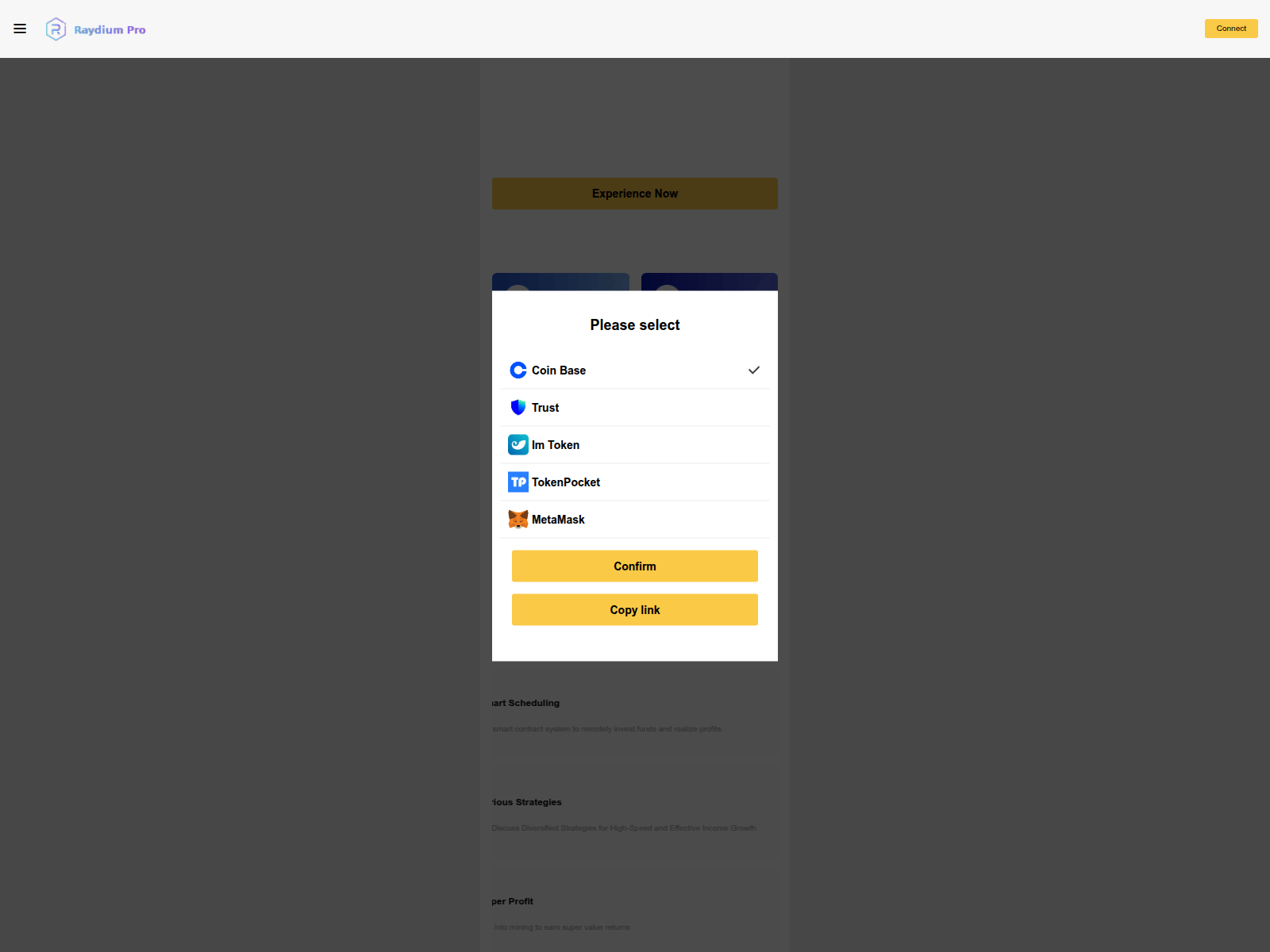 Screenshot of raydiumpro-vip.com/home