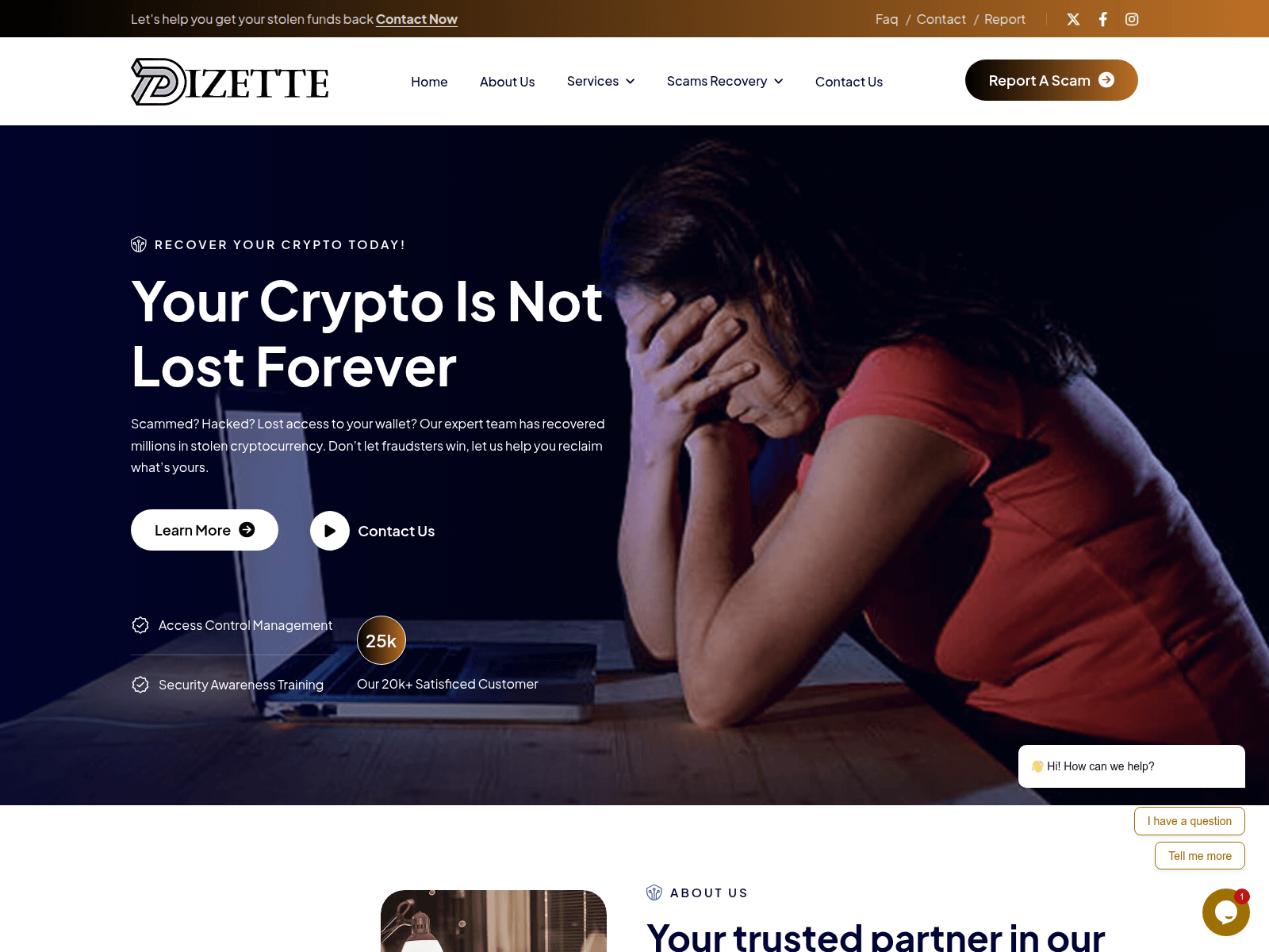 Screenshot of www.dizette.com