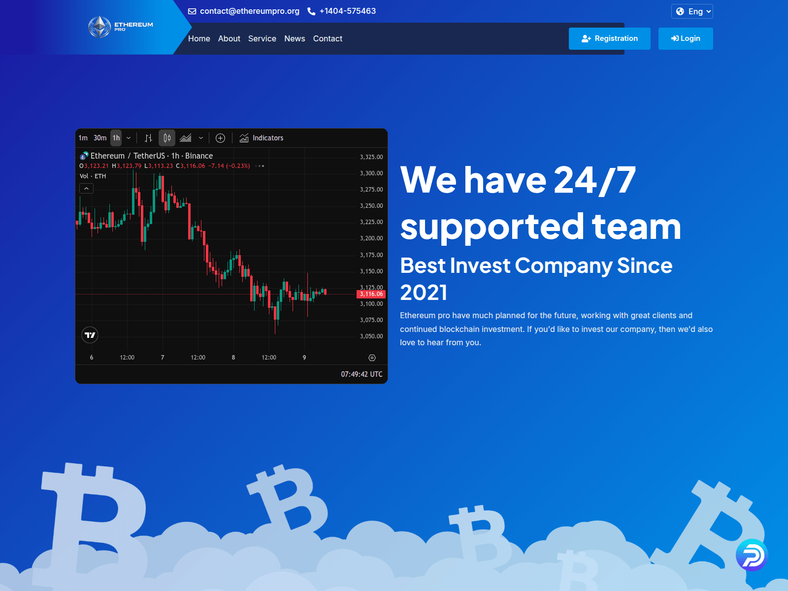 Screenshot of ethereumpro.org