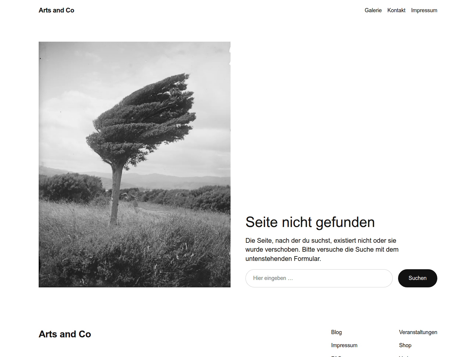 Screenshot of web363.can211.de