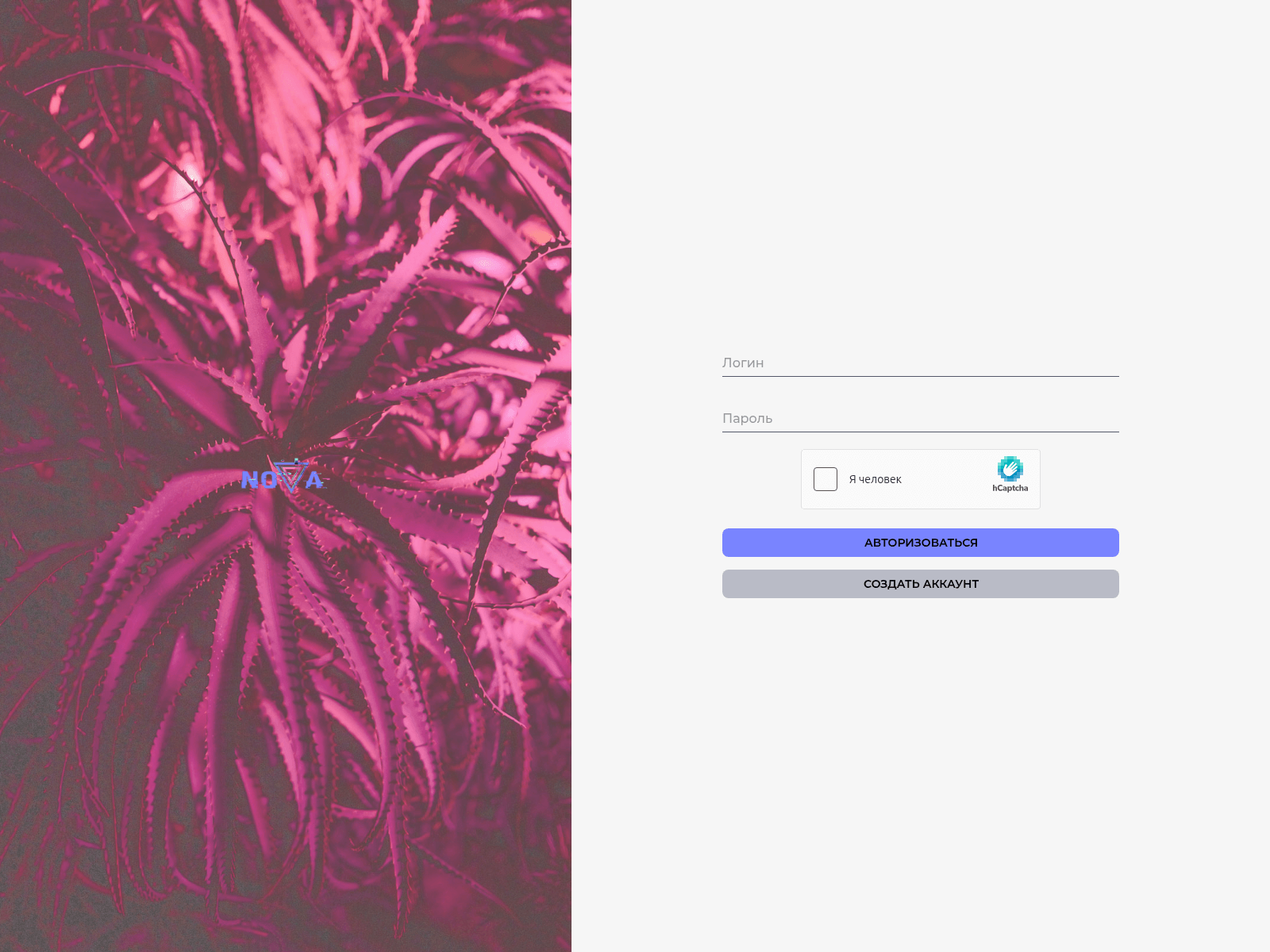 Screenshot of nvmp3.live