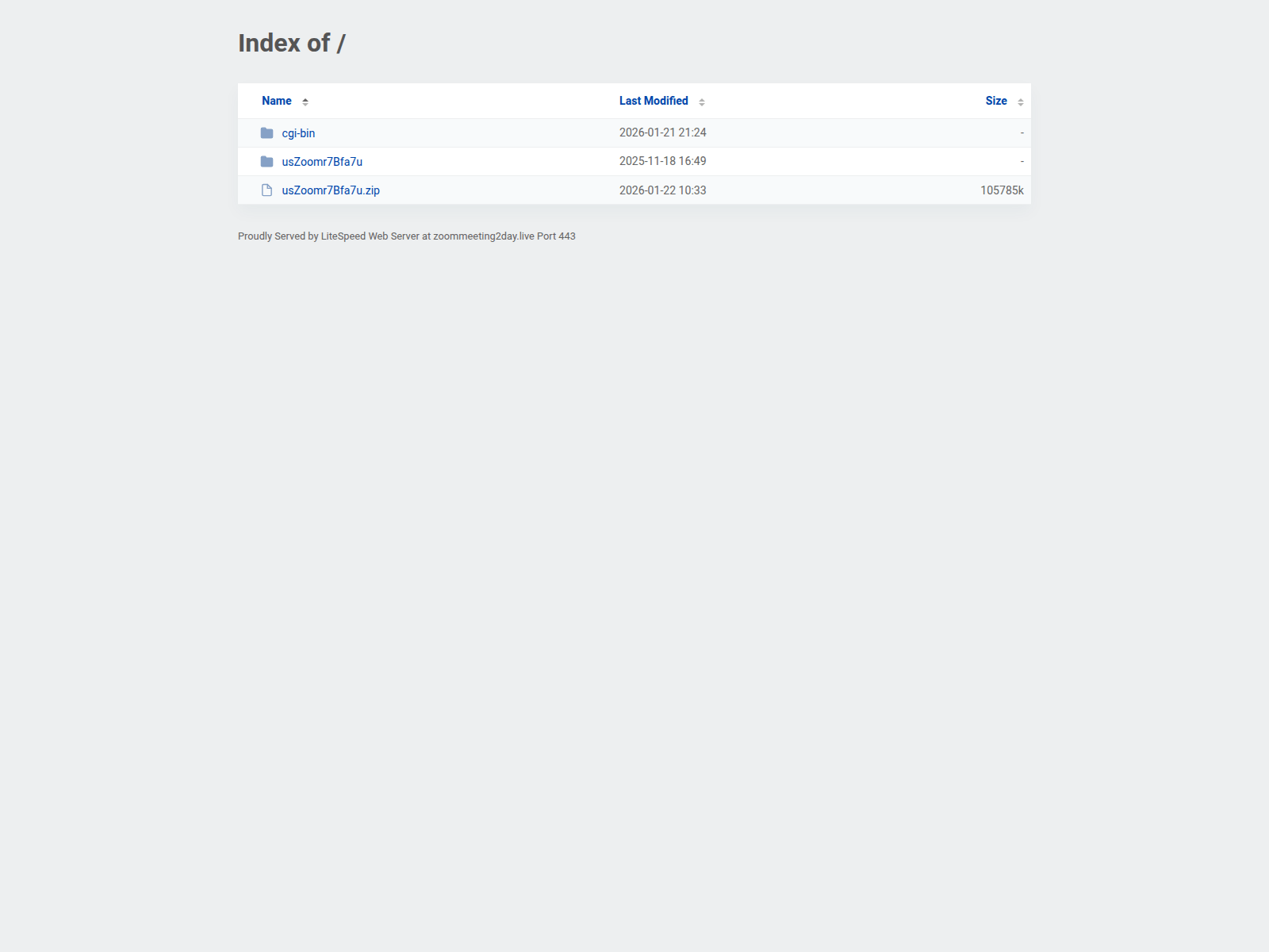 Screenshot of zoommeeting2day.live