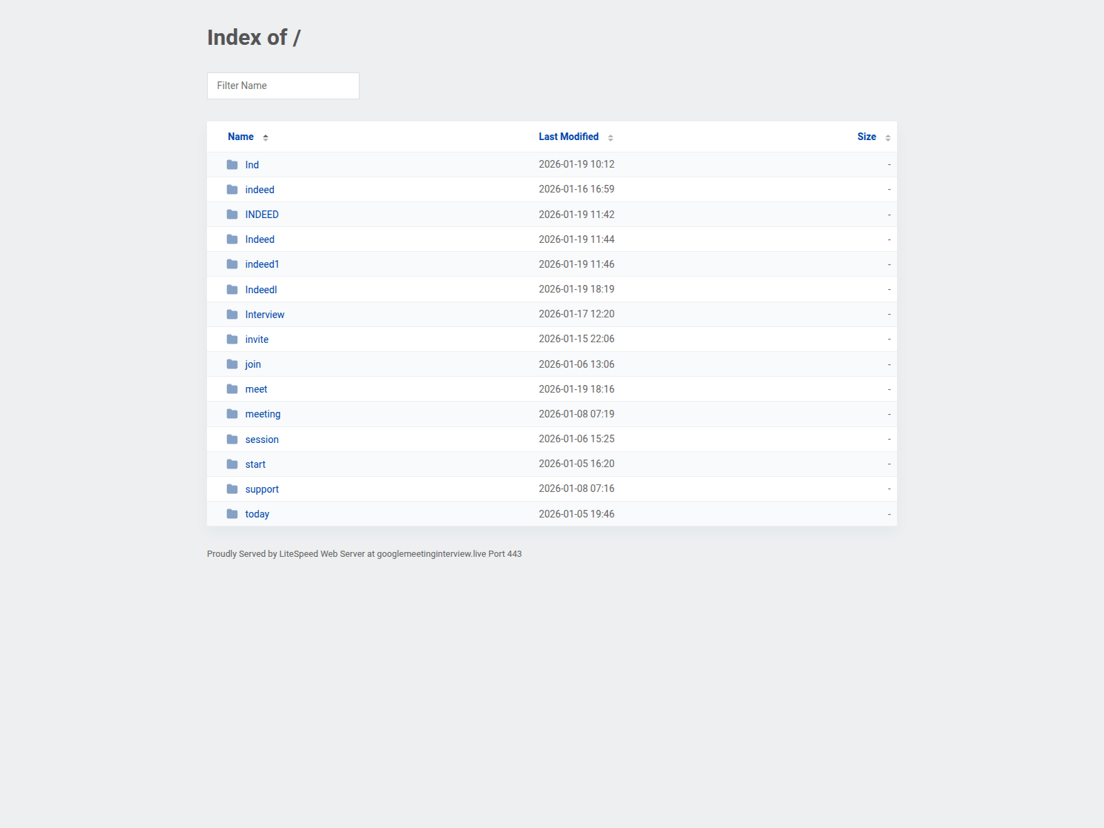 Screenshot of googlemeetinginterview.live